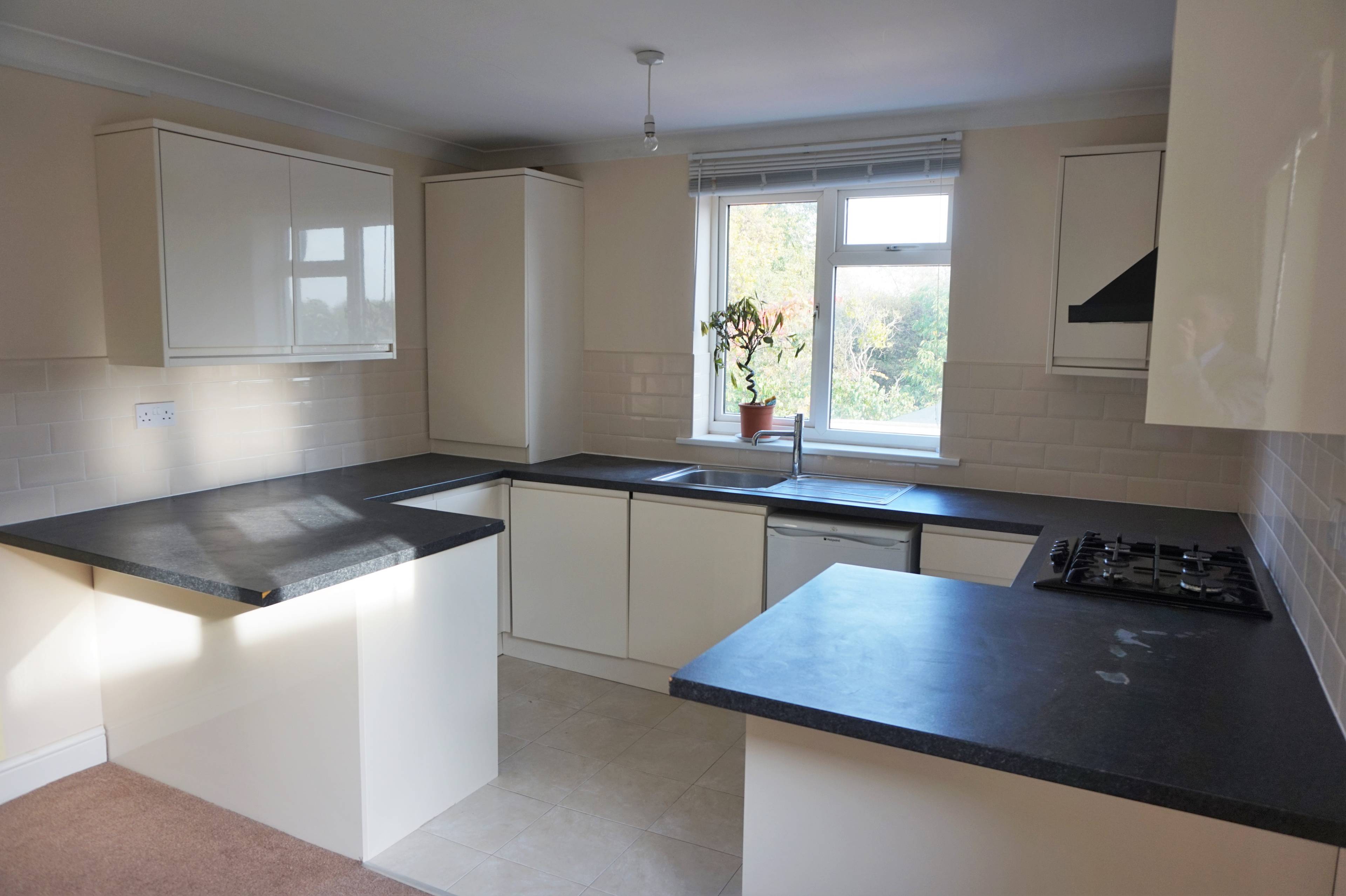 Lounge / Kitchen