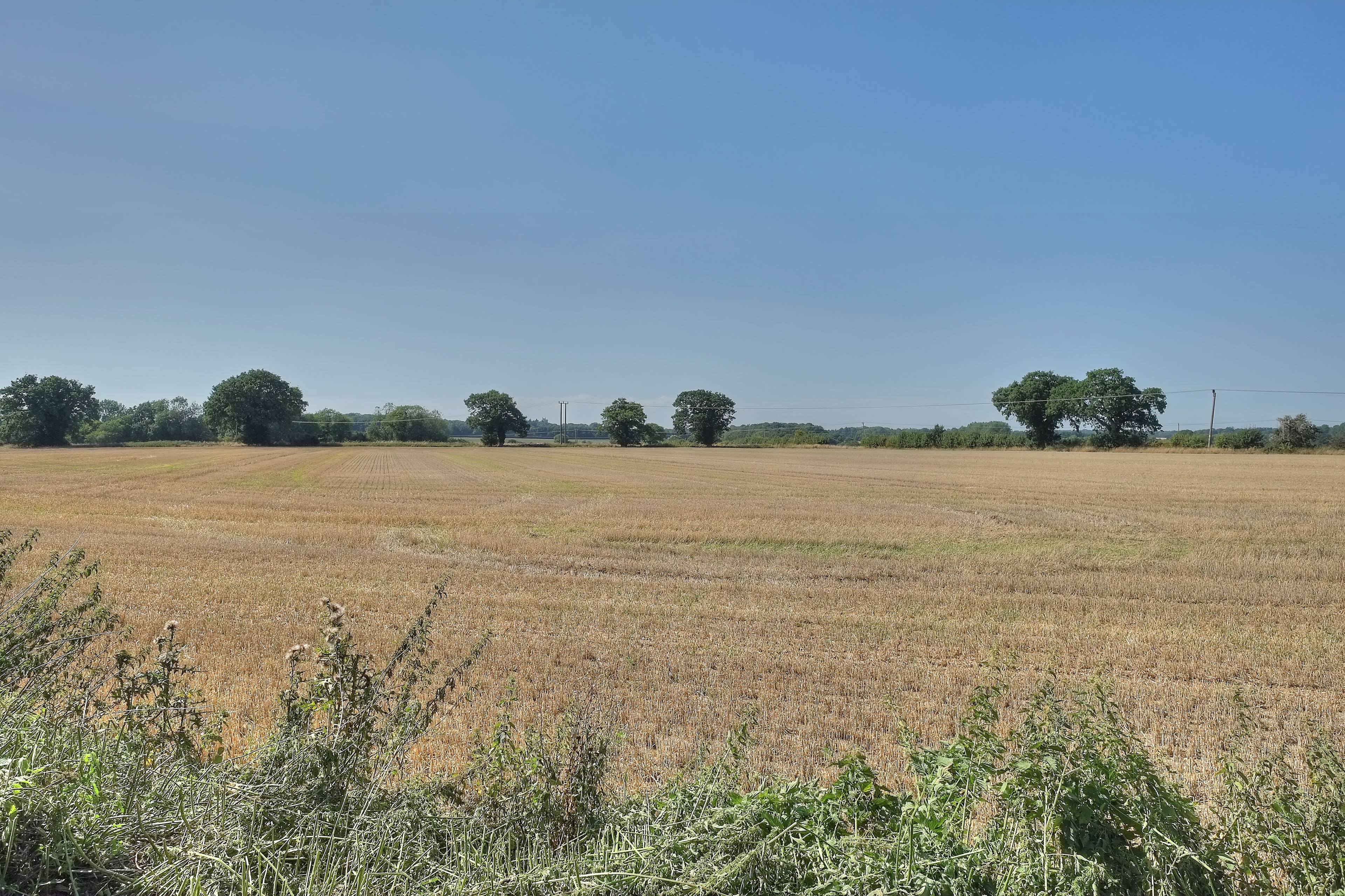 Surrounding Area
