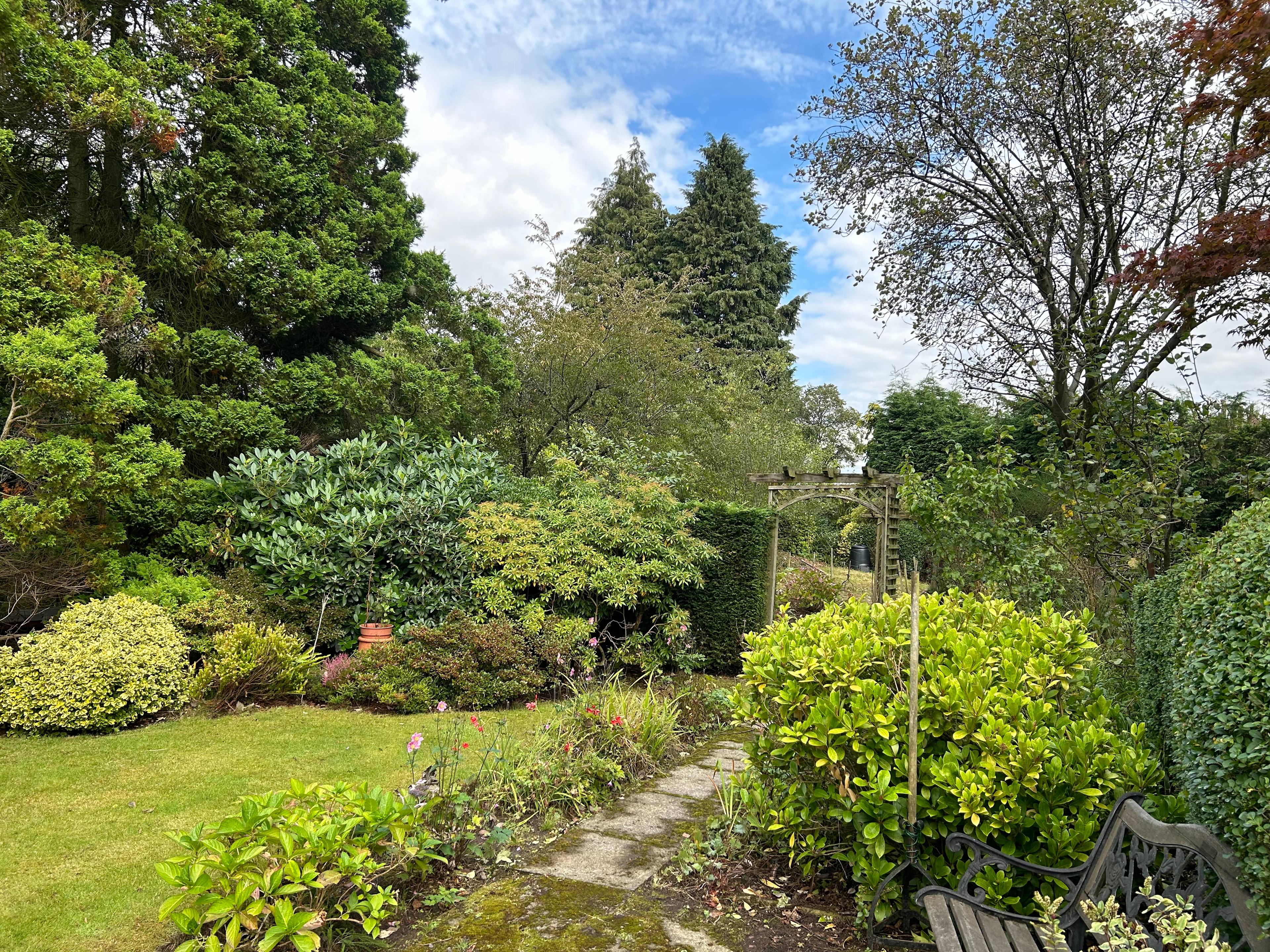 Mature Garden