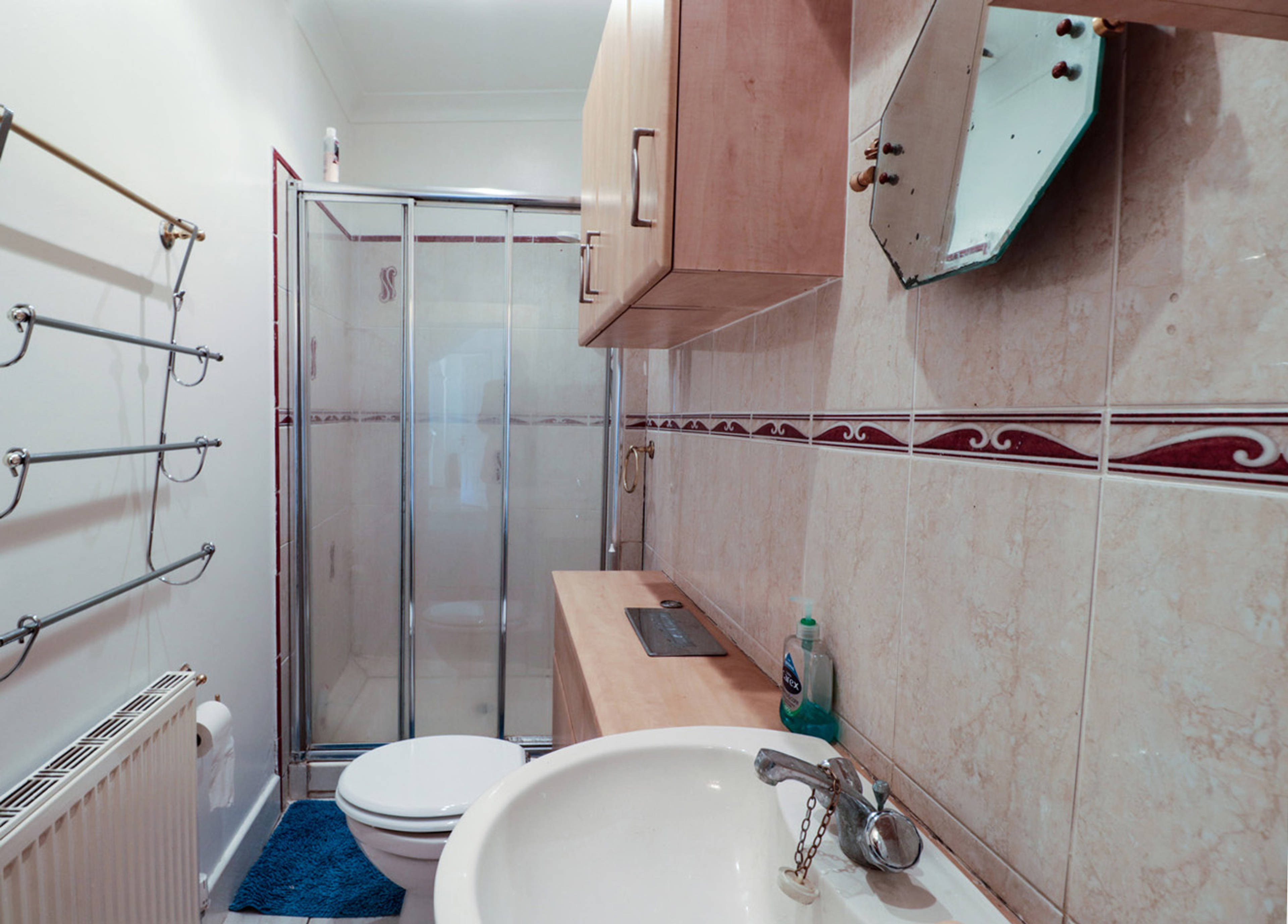 Downstairs Shower