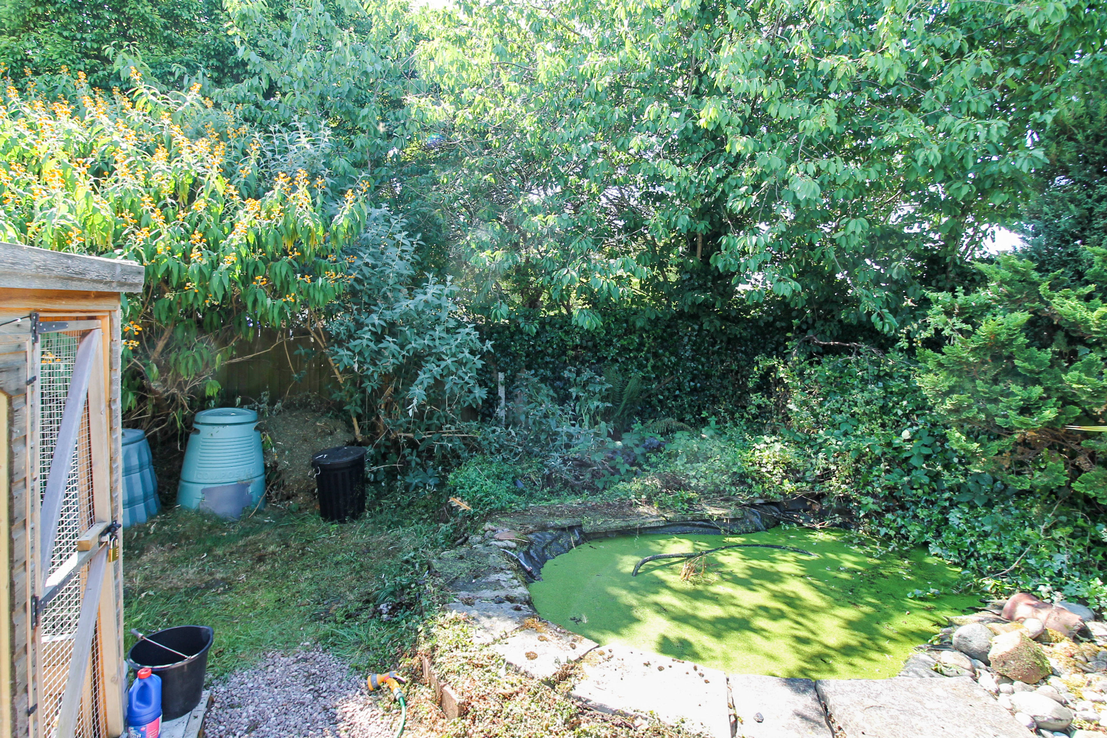 Side Garden