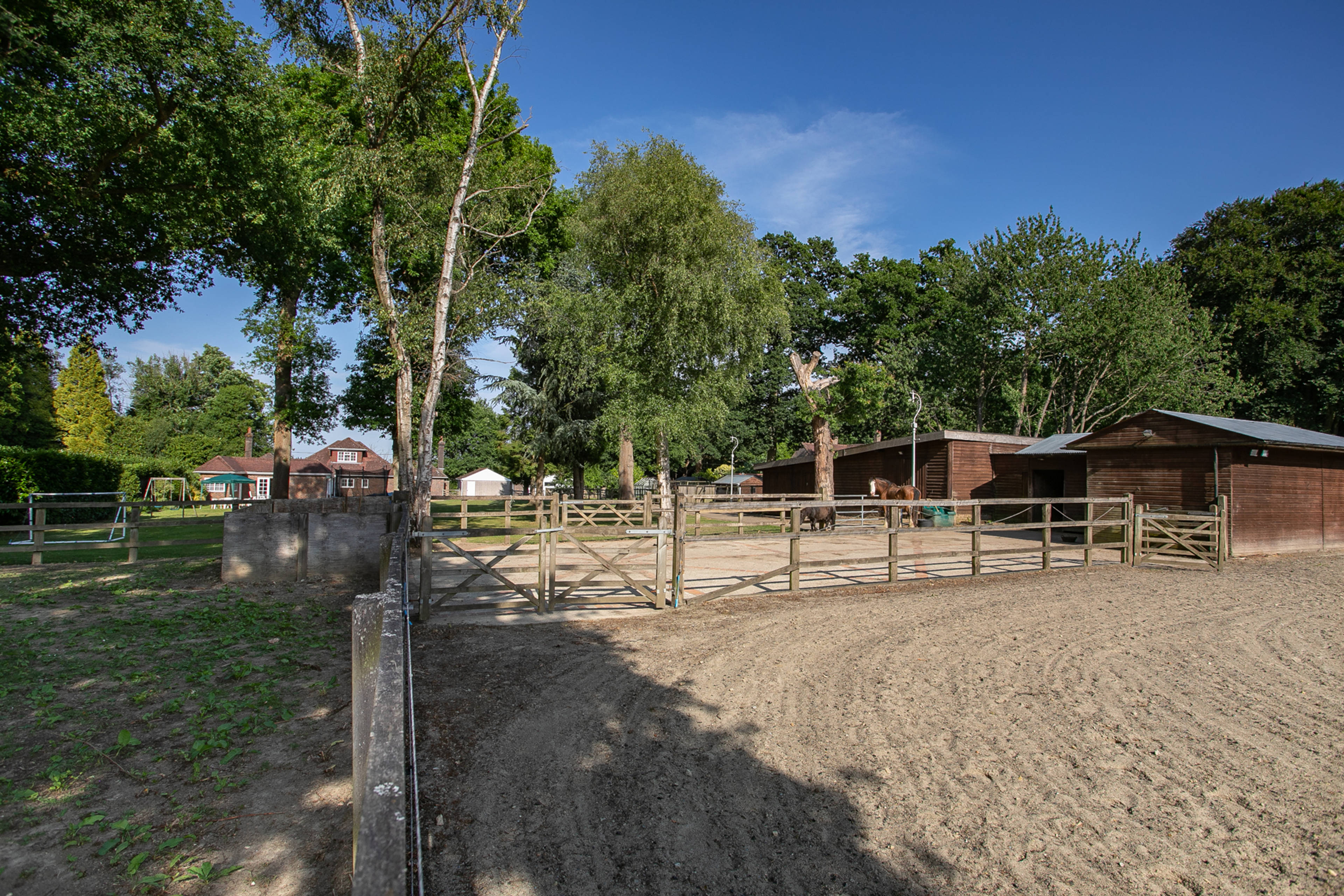 Sand School