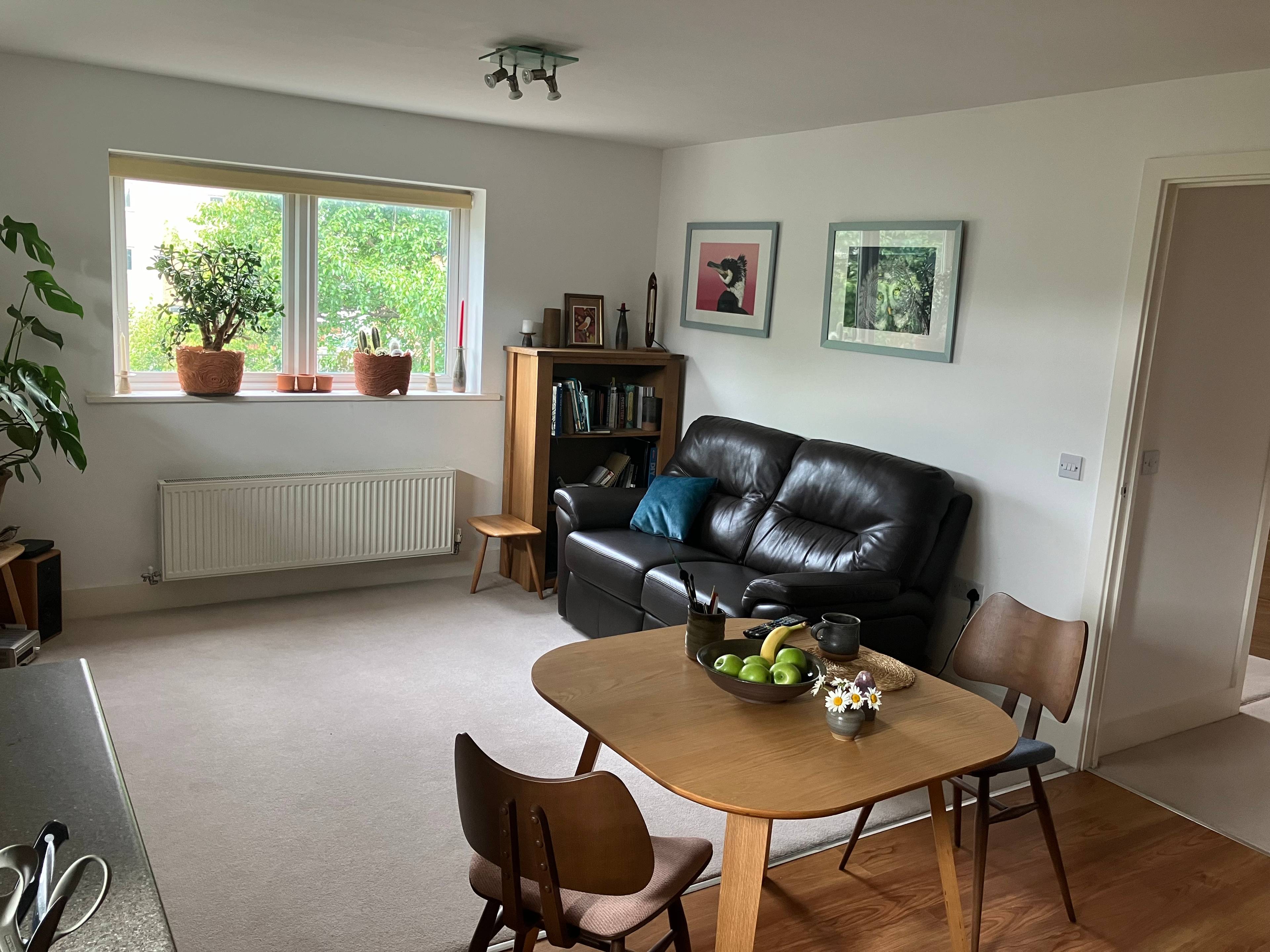 Living / Dining Room