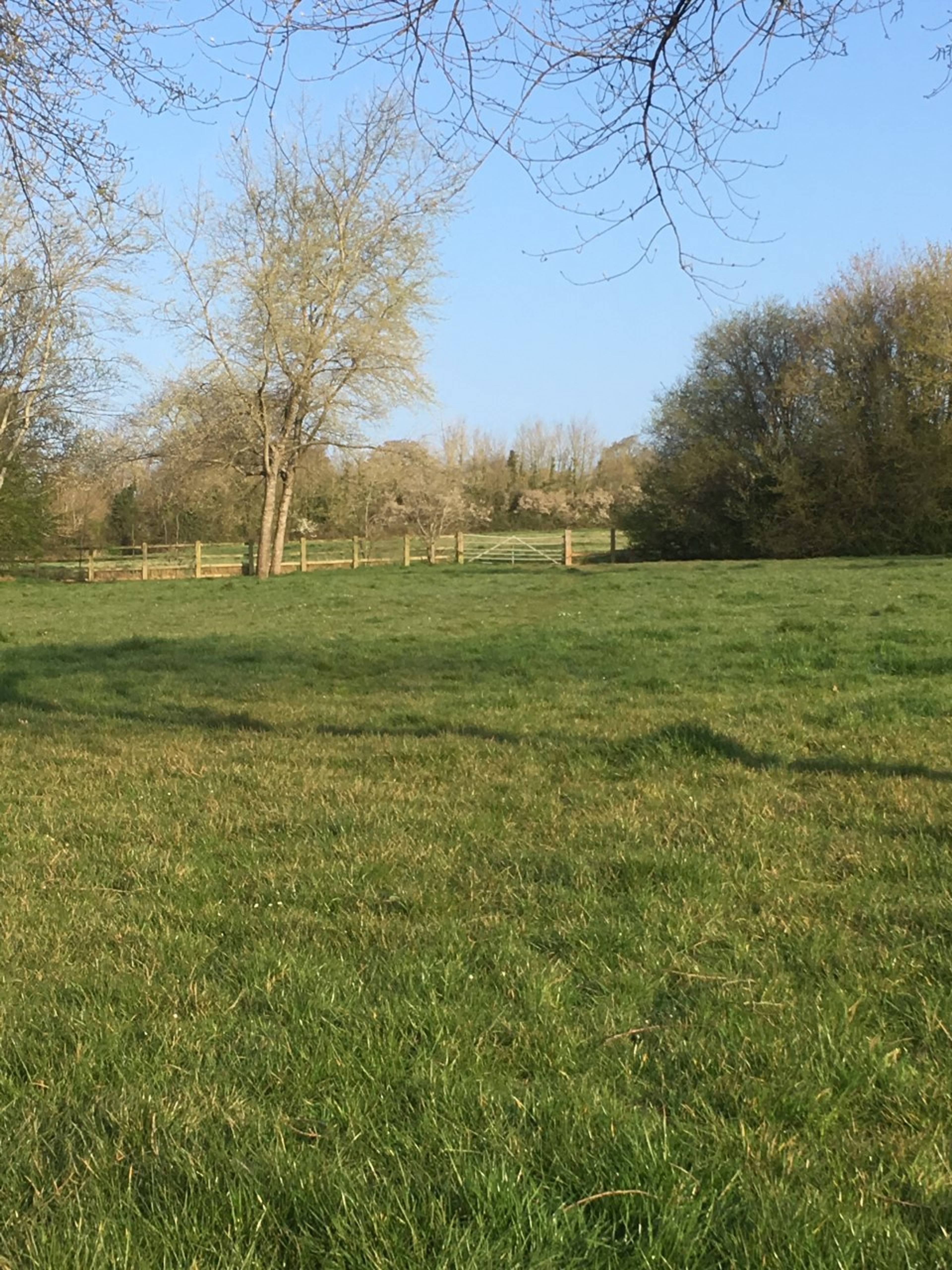 Local Area