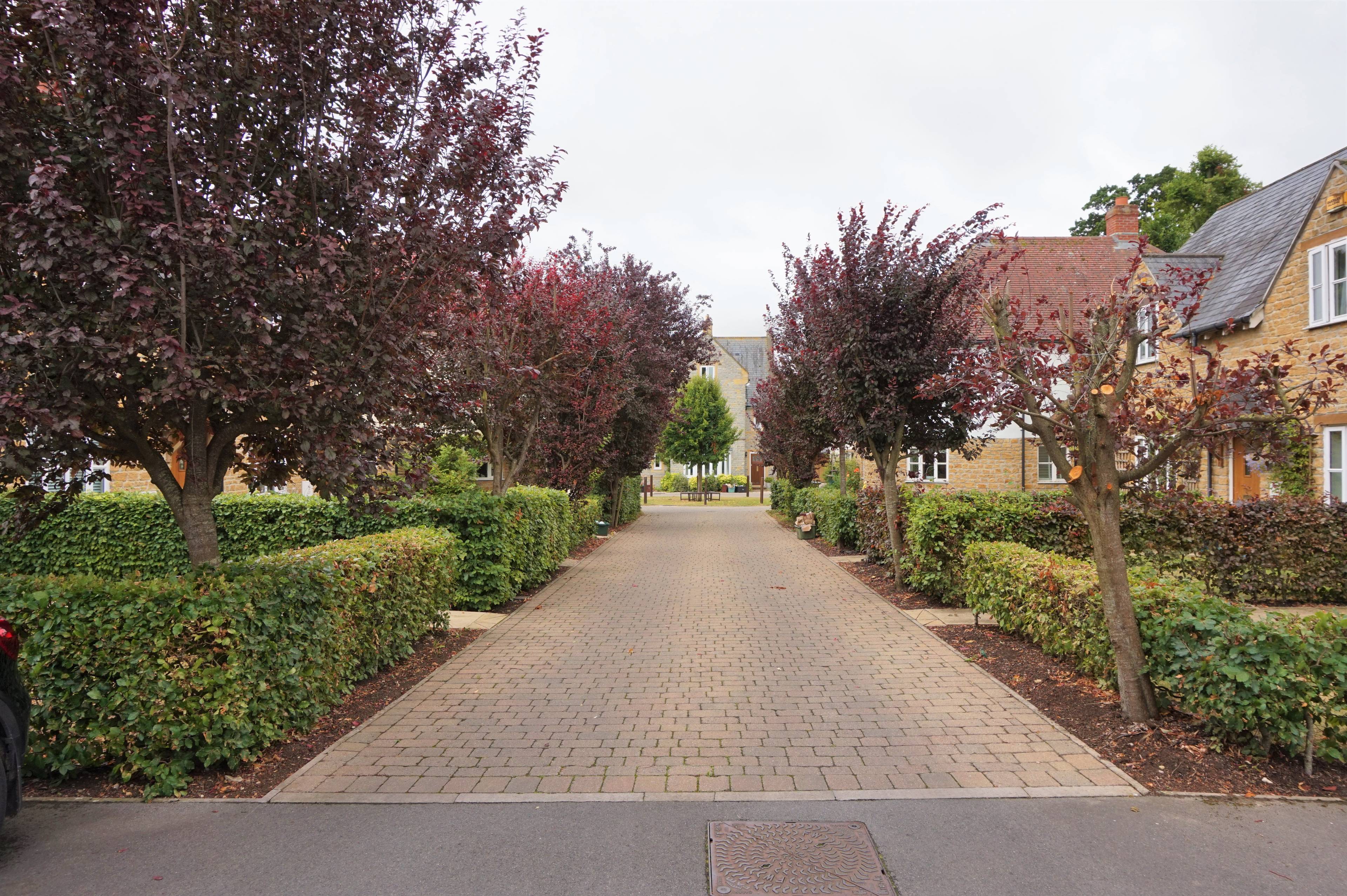 Driveway