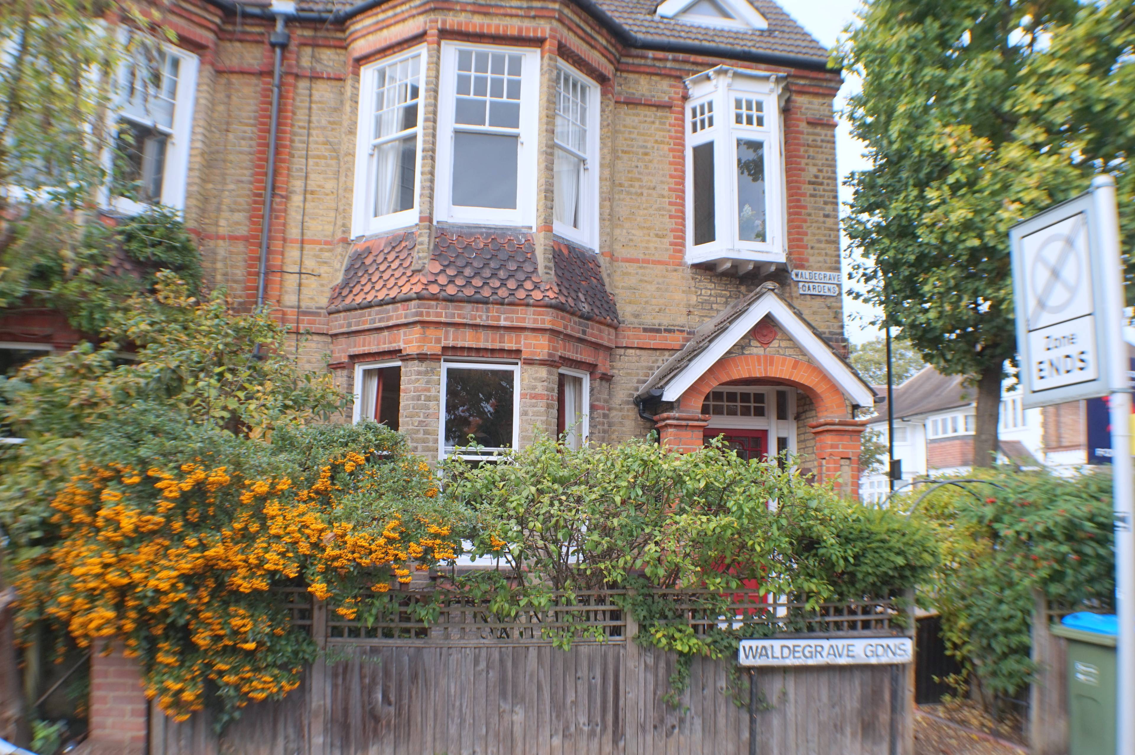 Front View
