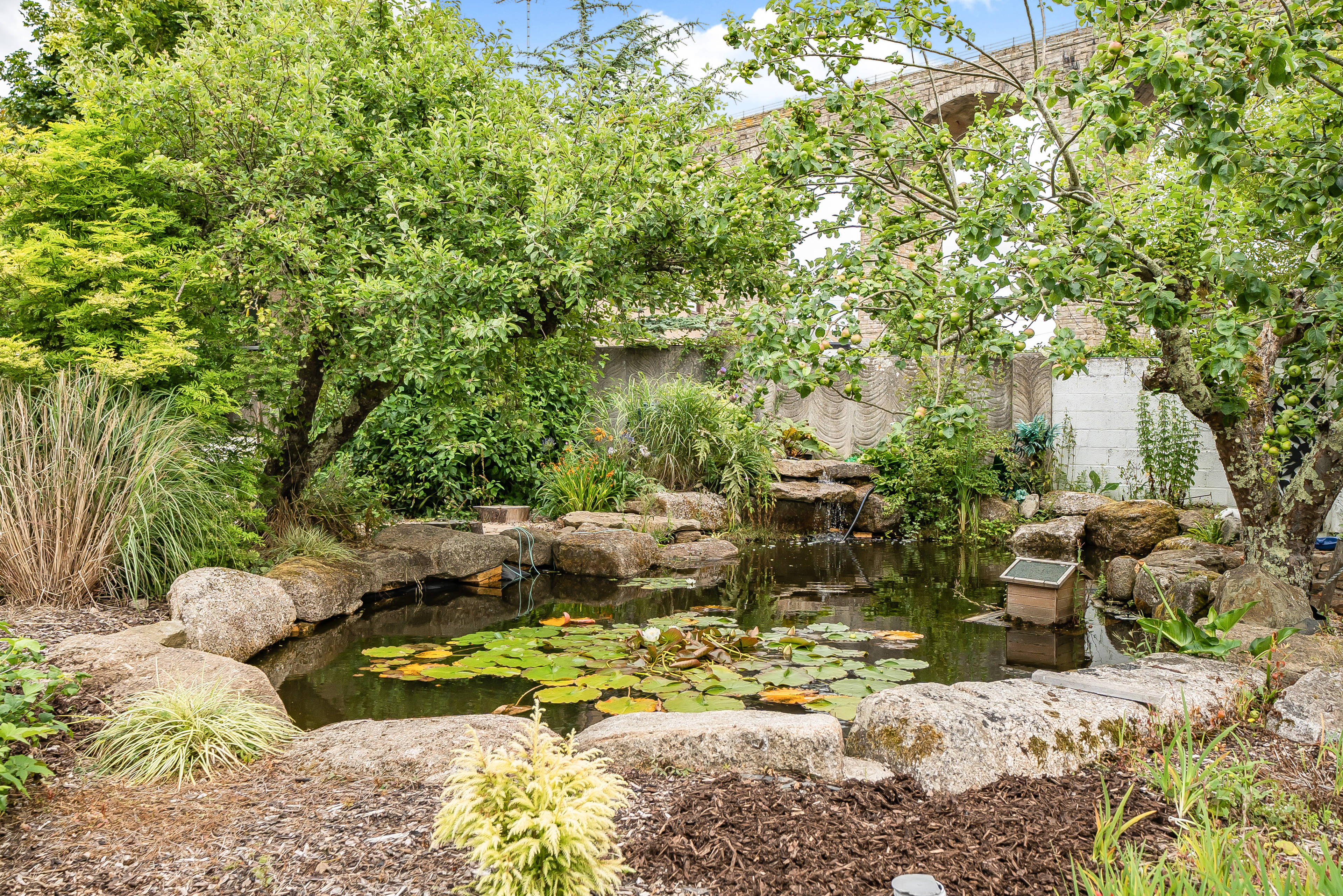 Pond