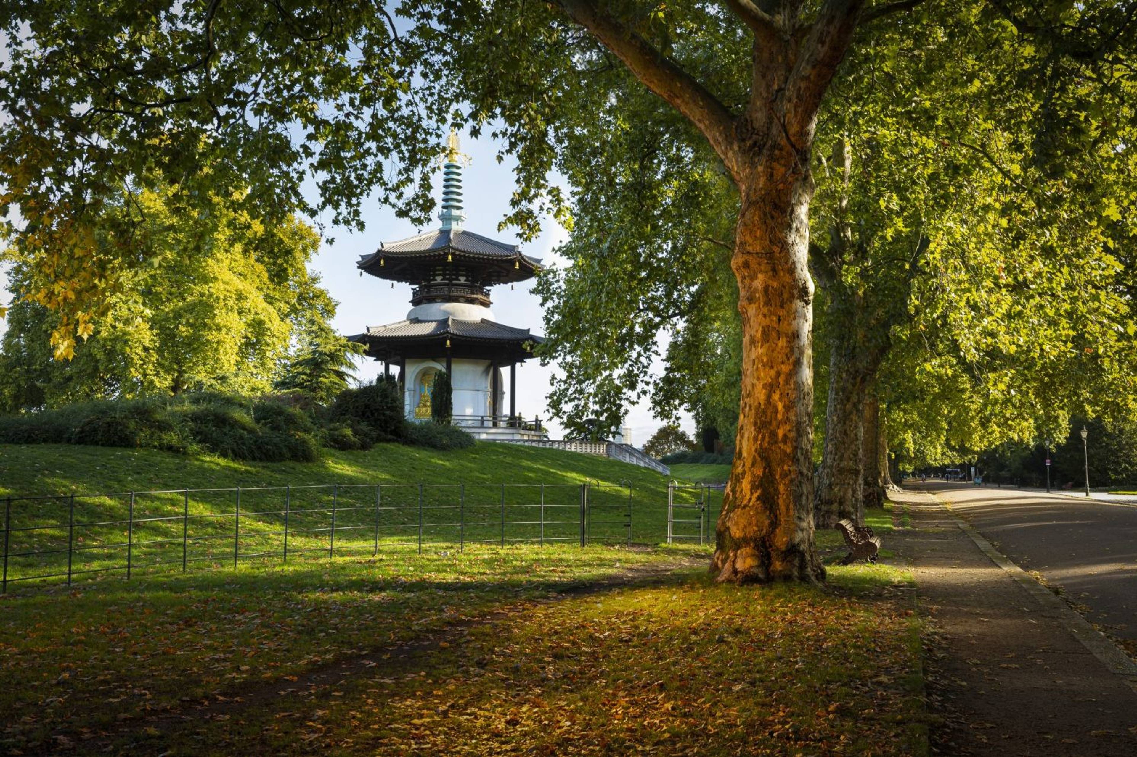 Nearby Park