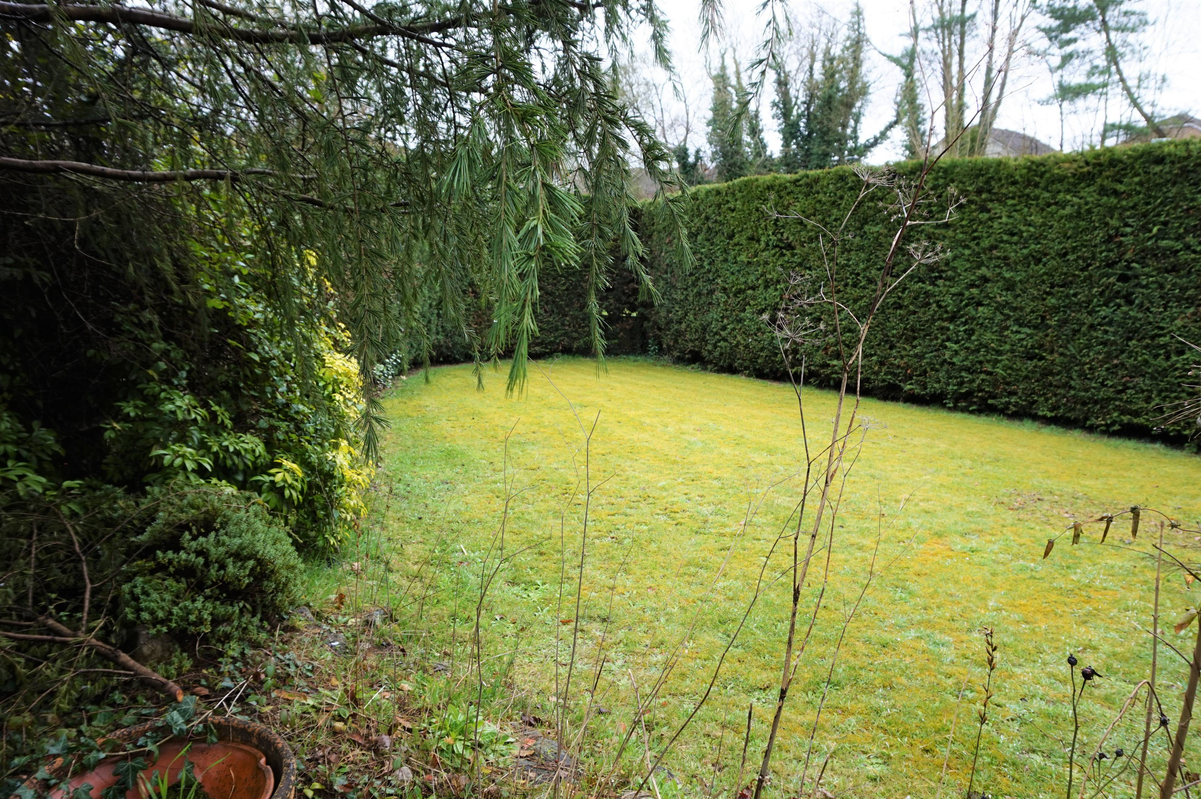 Side Garden