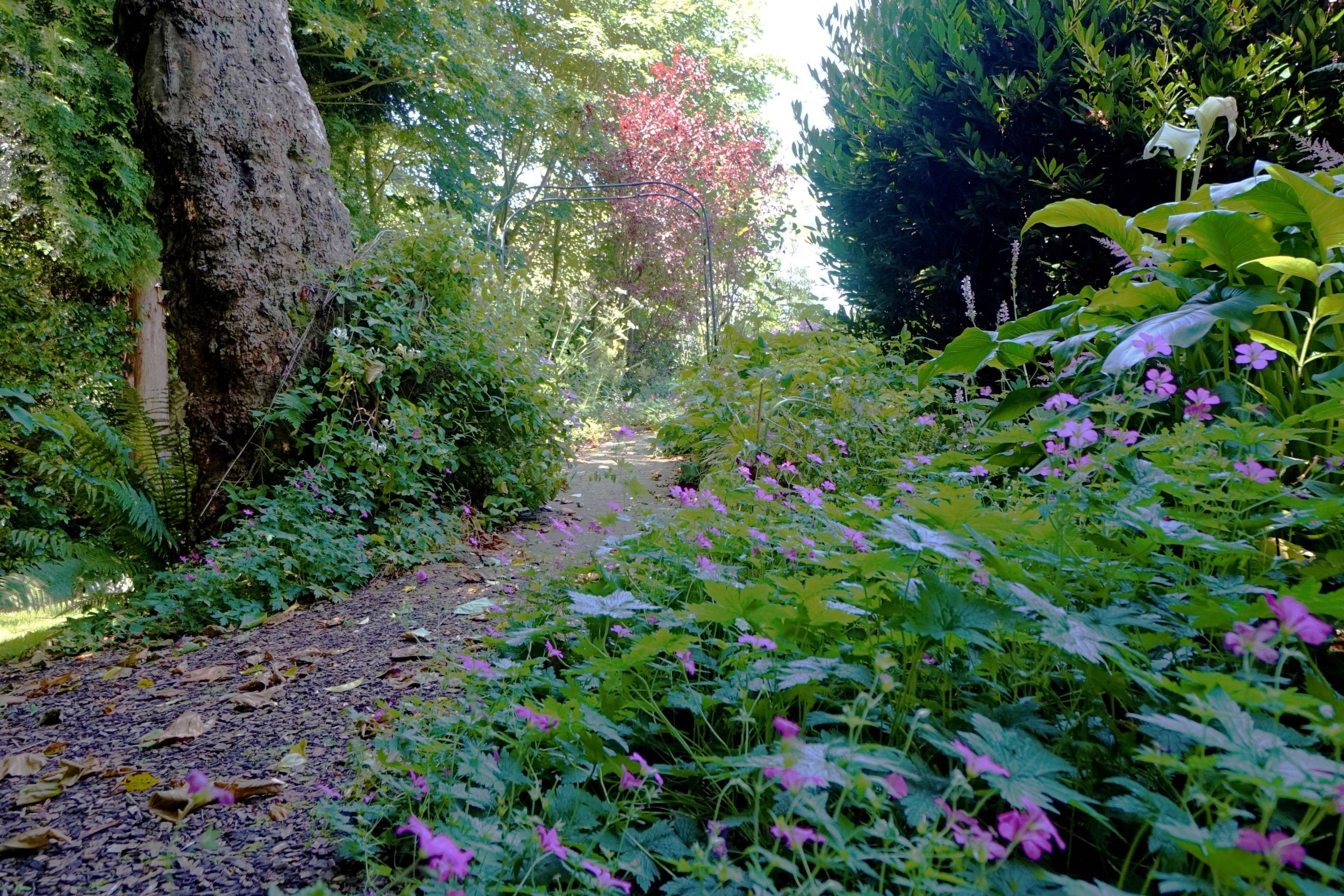 Woodland
