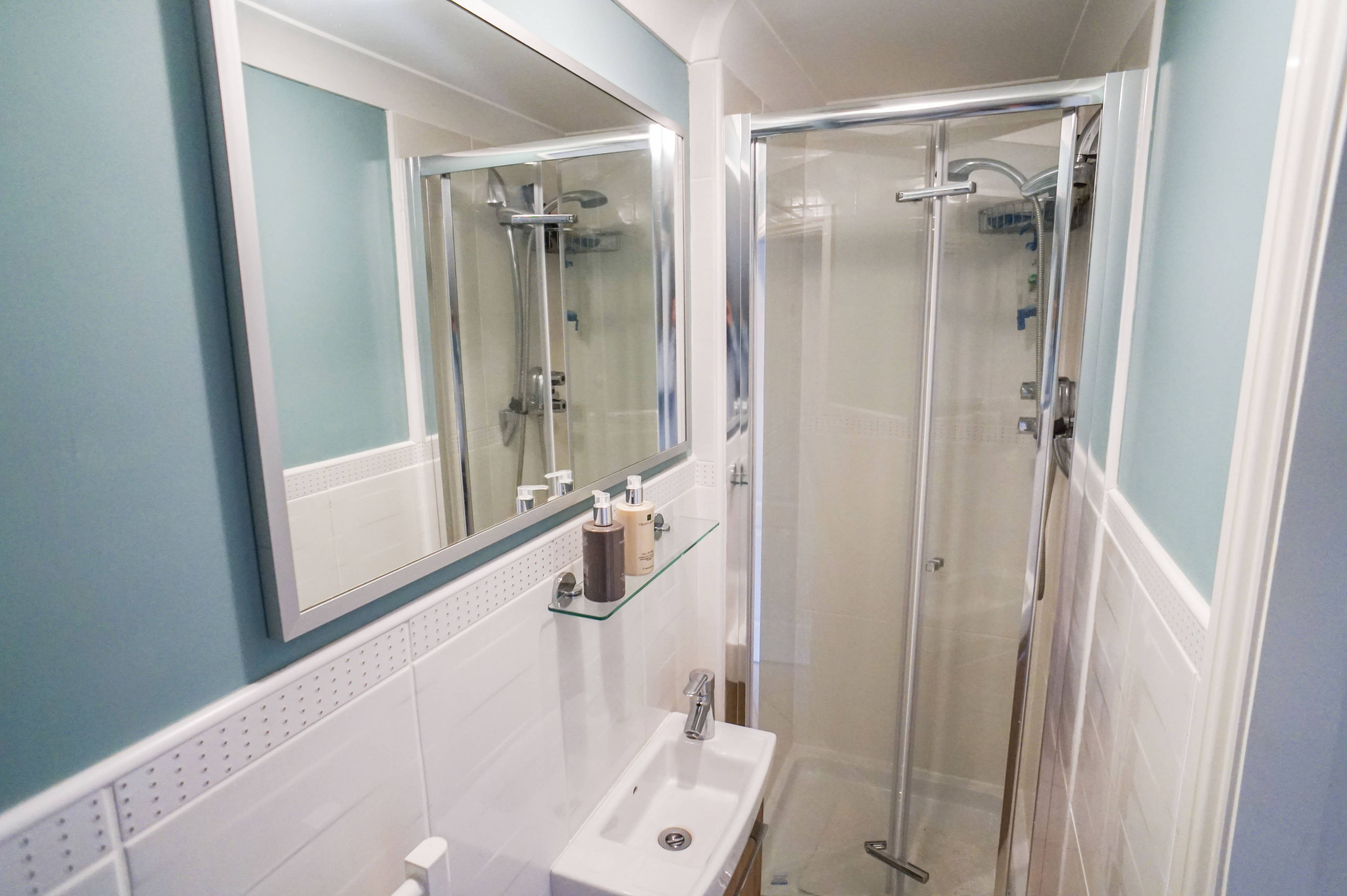 Downstairs Shower