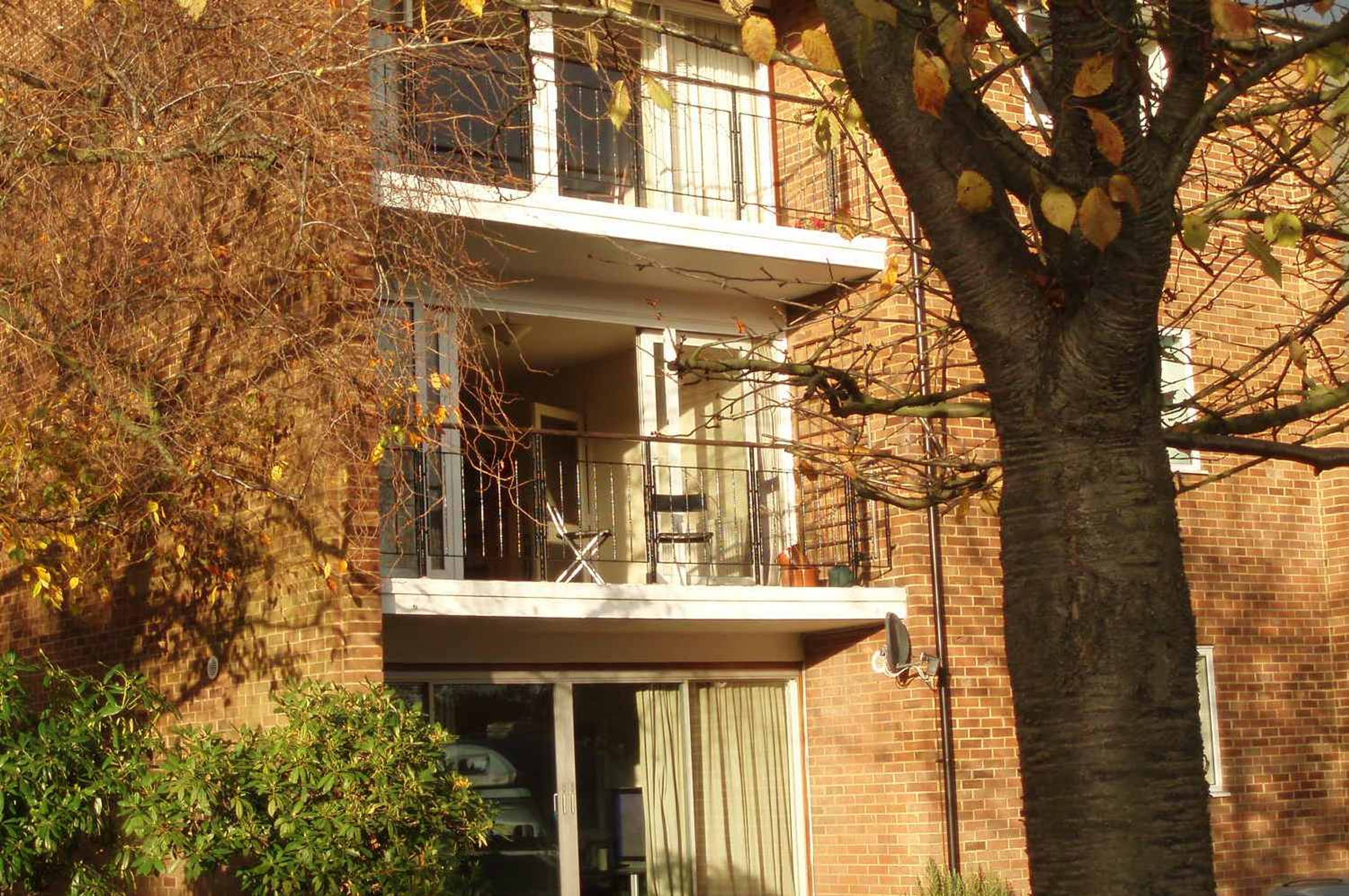 View Of The Property