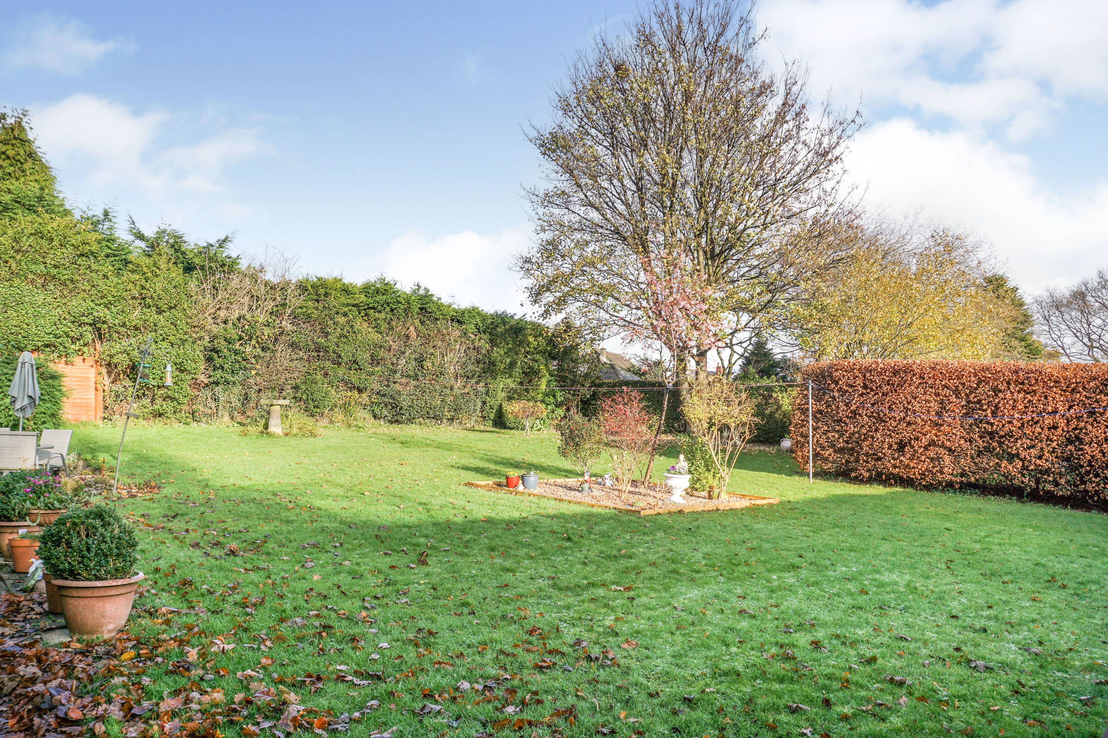 Communal Gardens