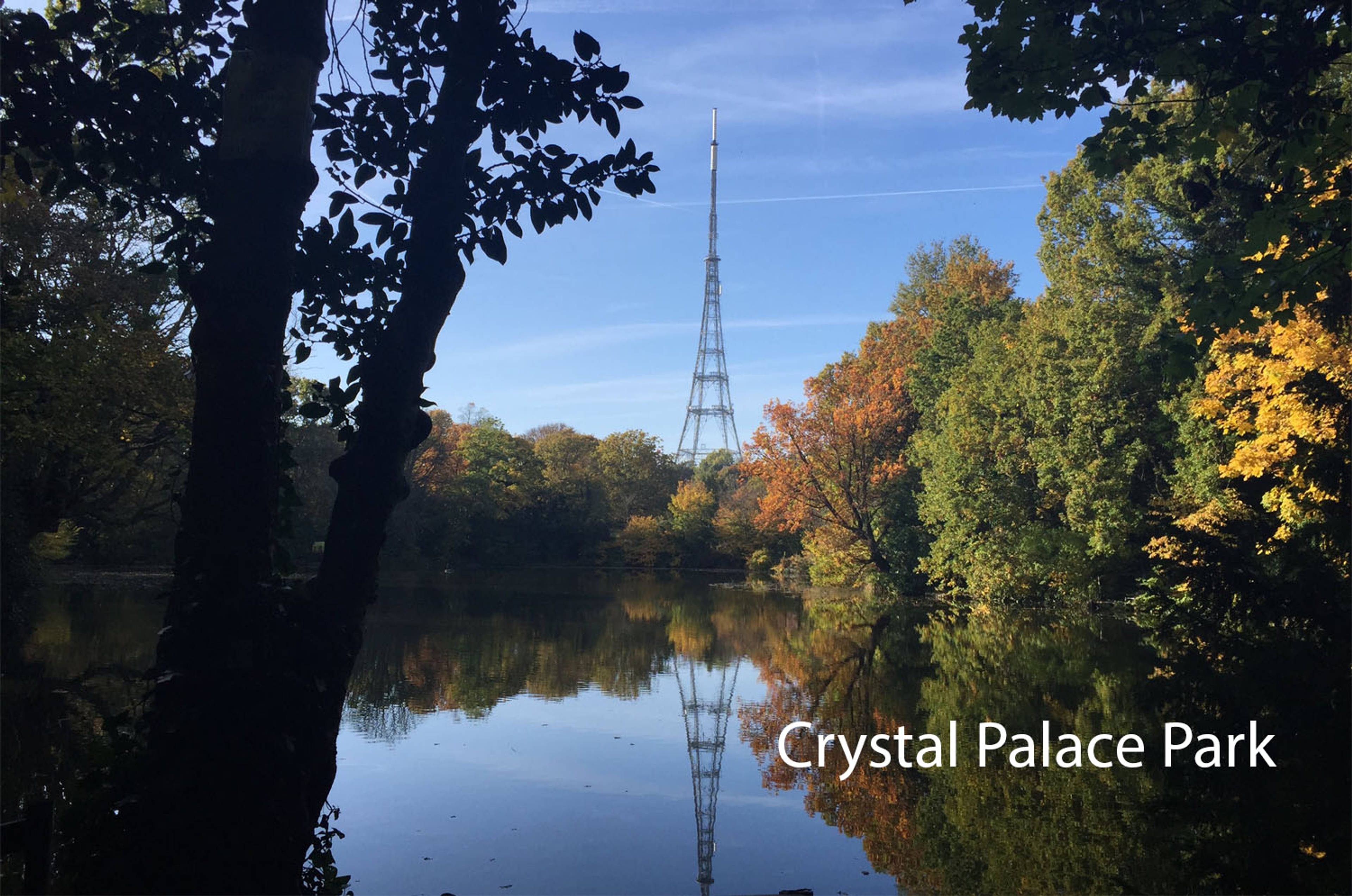 Nearby Park