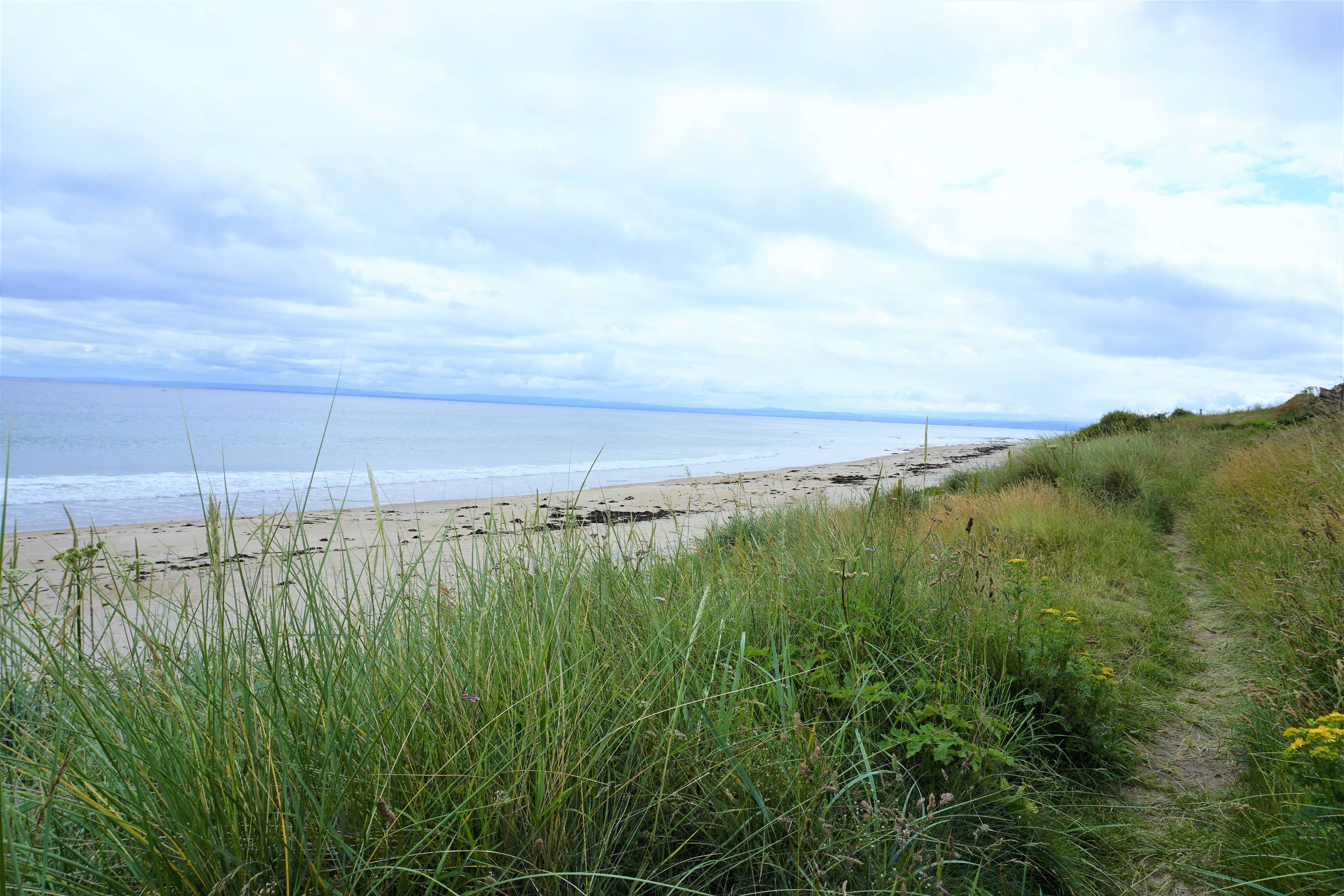 Beach View