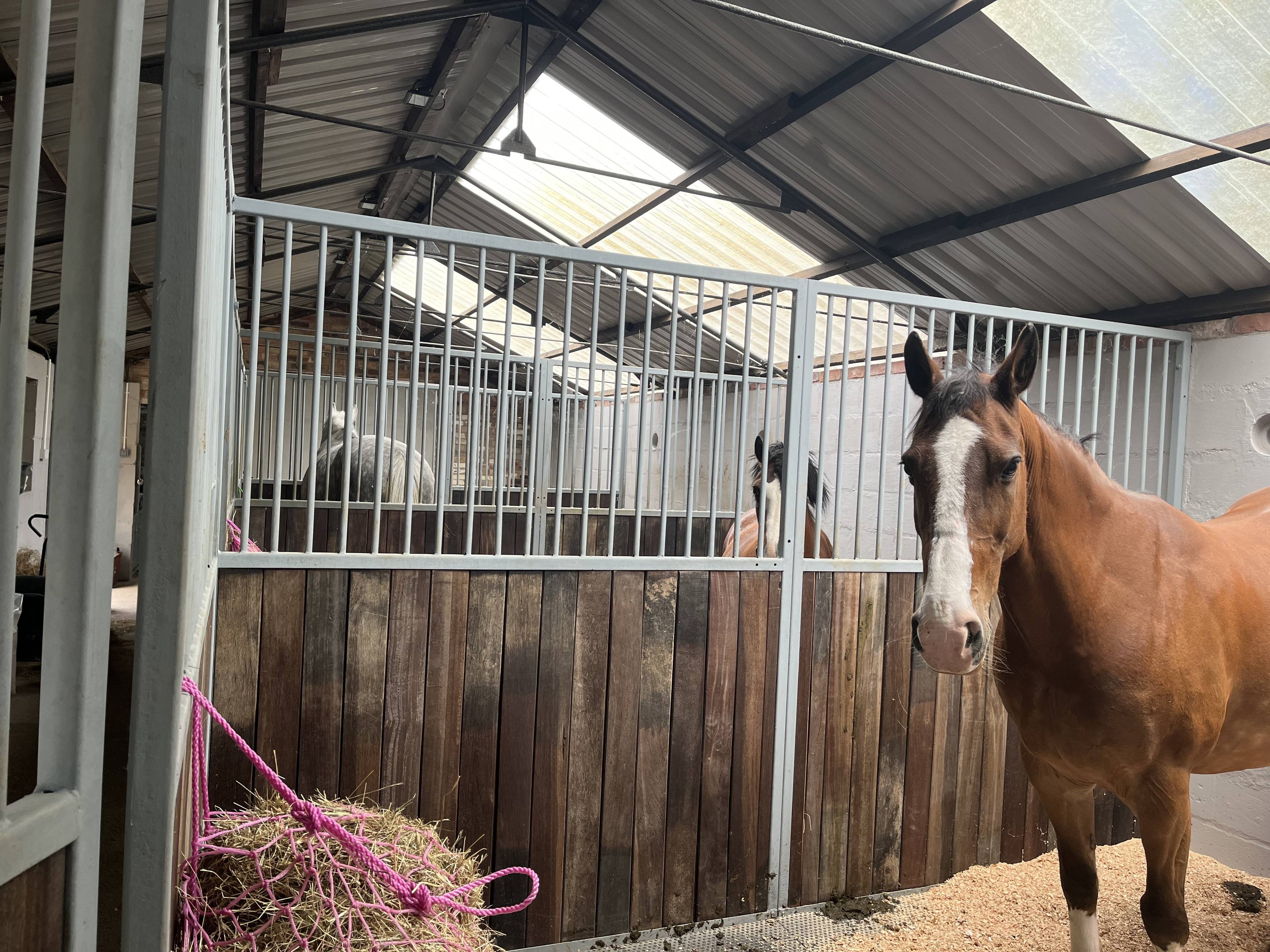 Stables