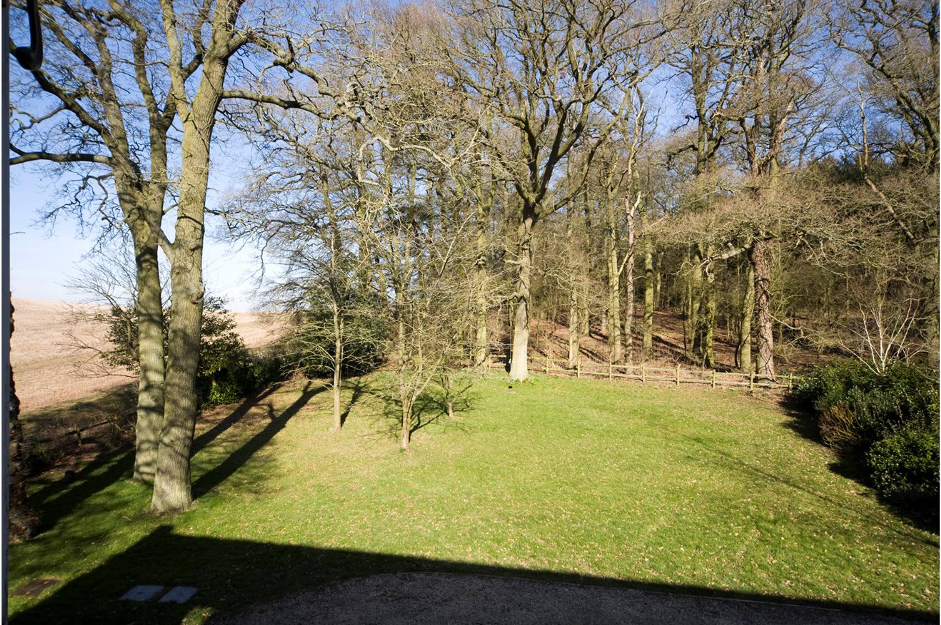 Mature Garden