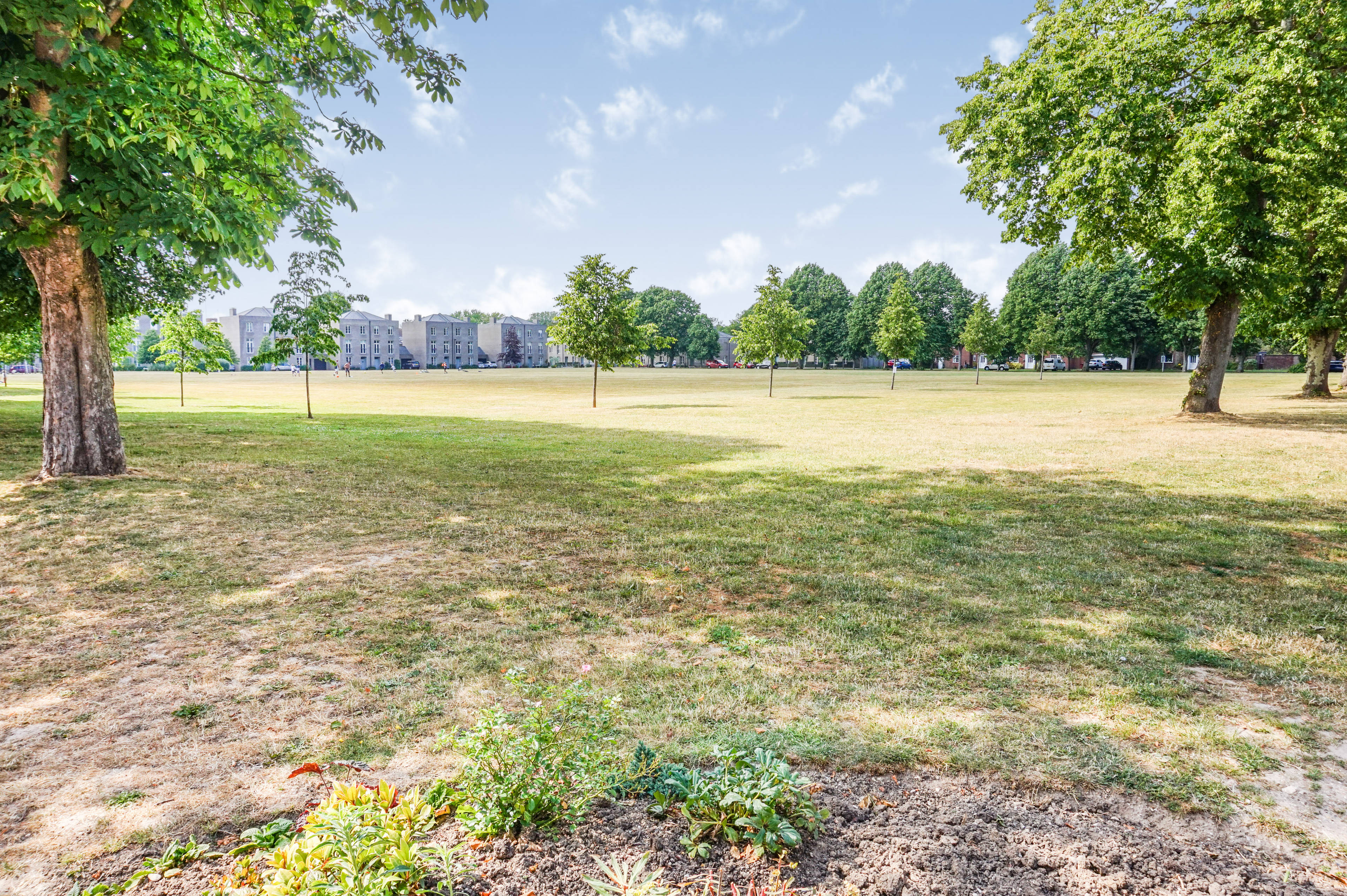 The Park