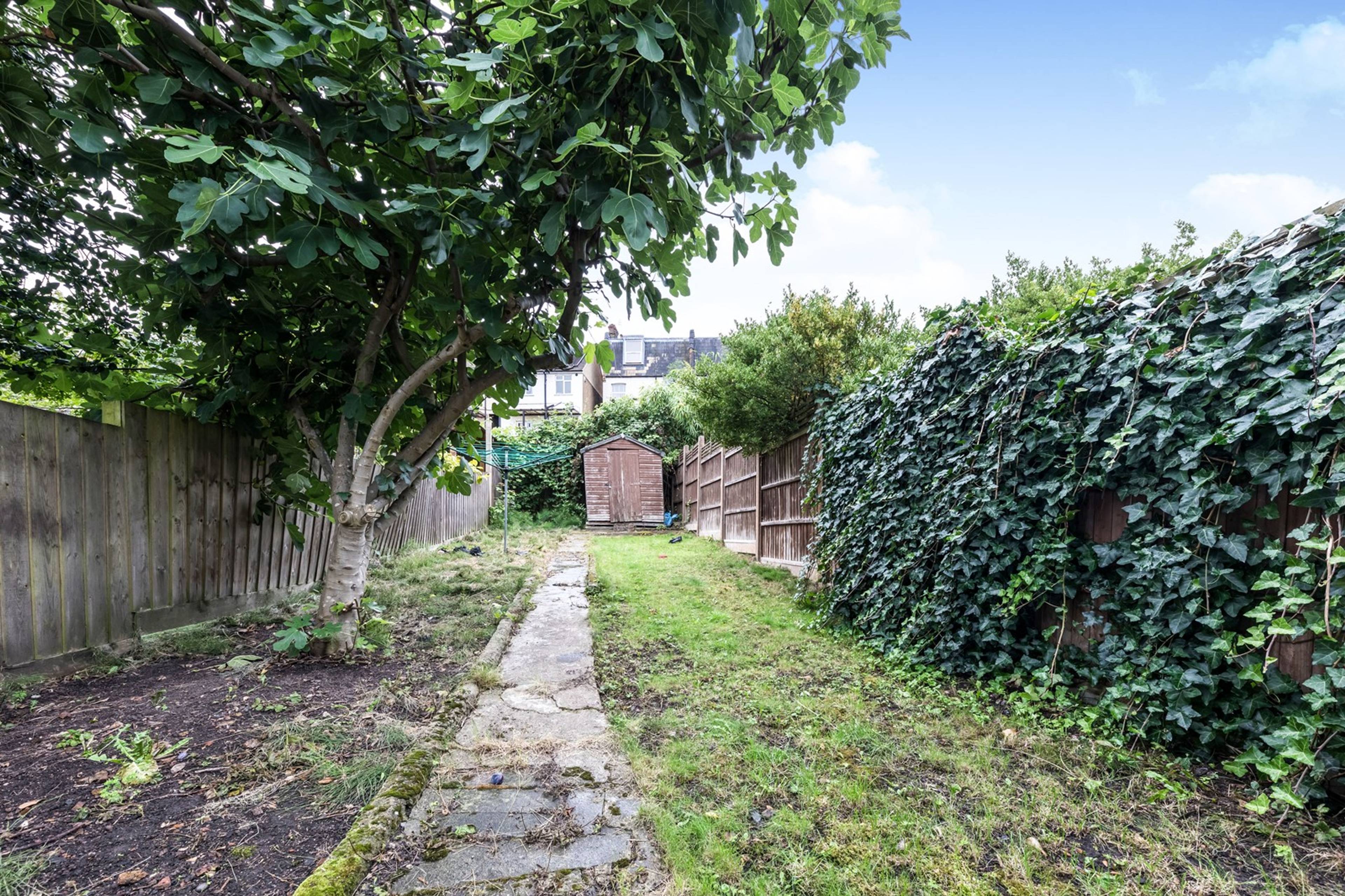 garden
