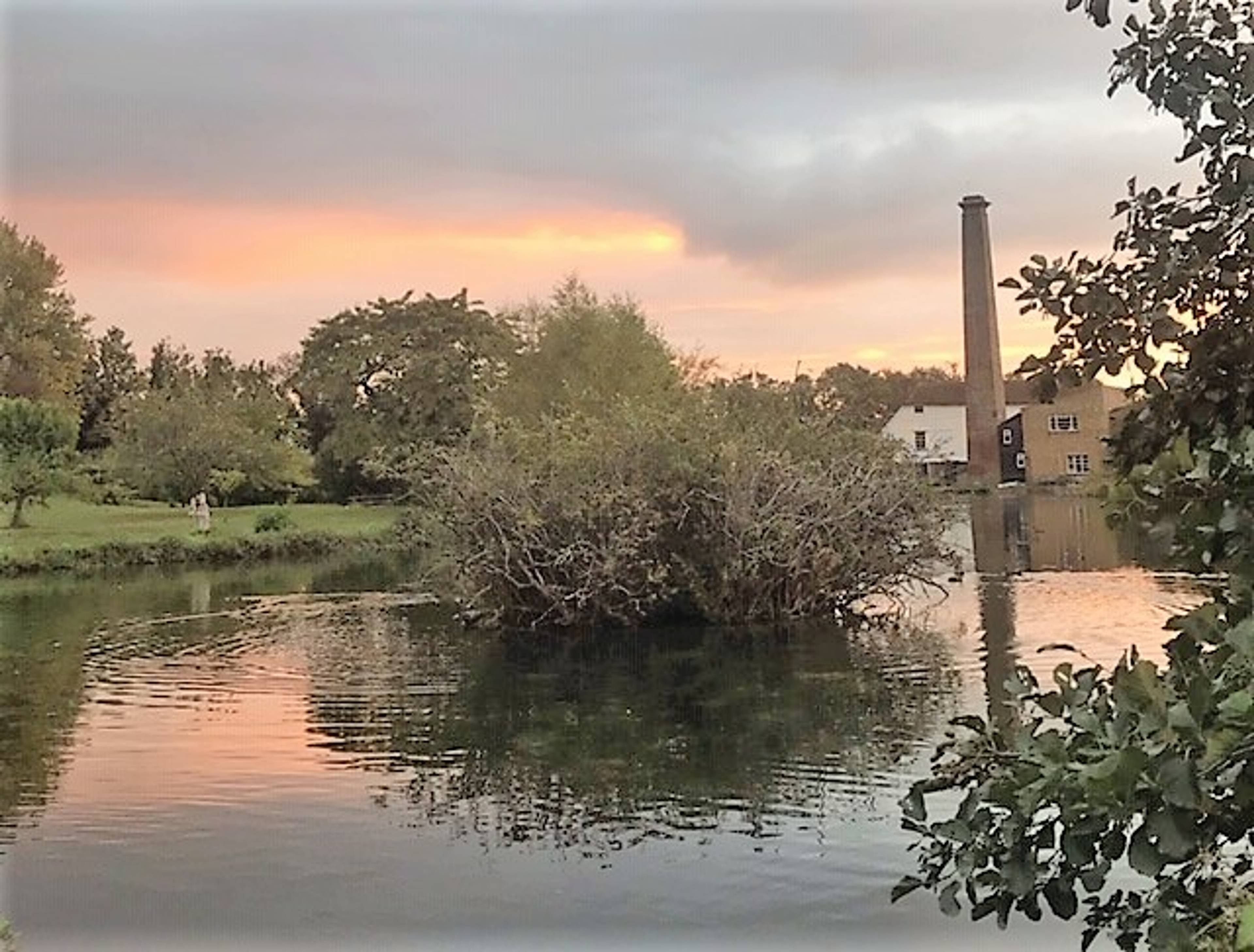 Nearby Park