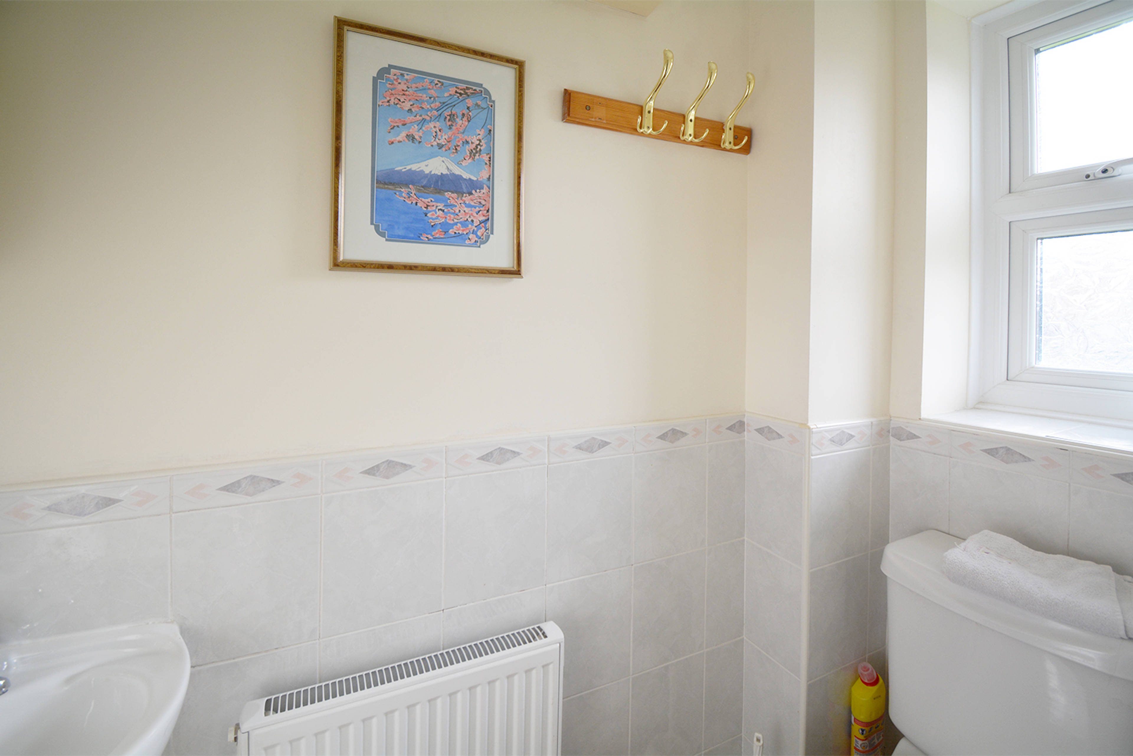 Downstairs Bathroom