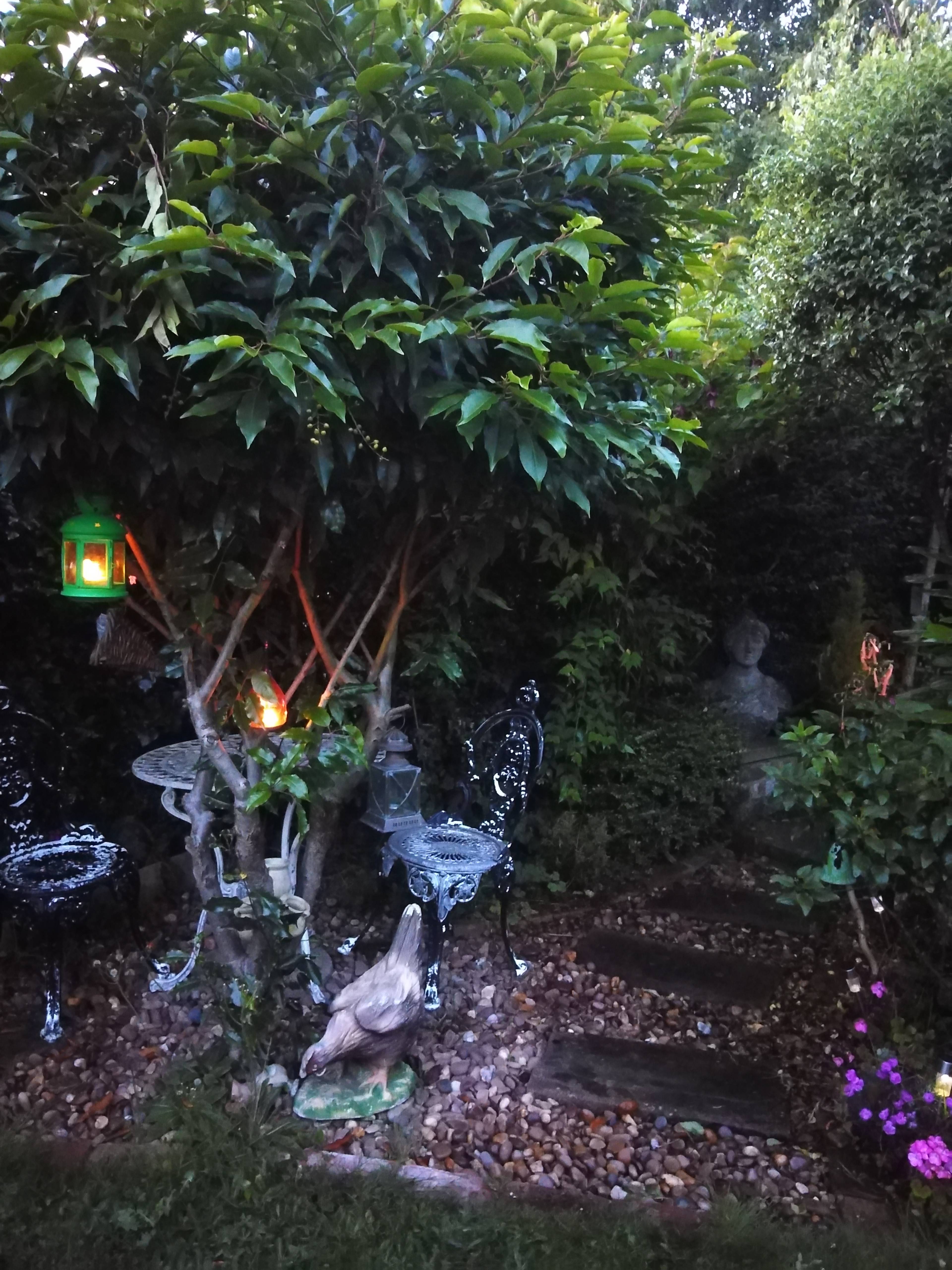 Rear garden