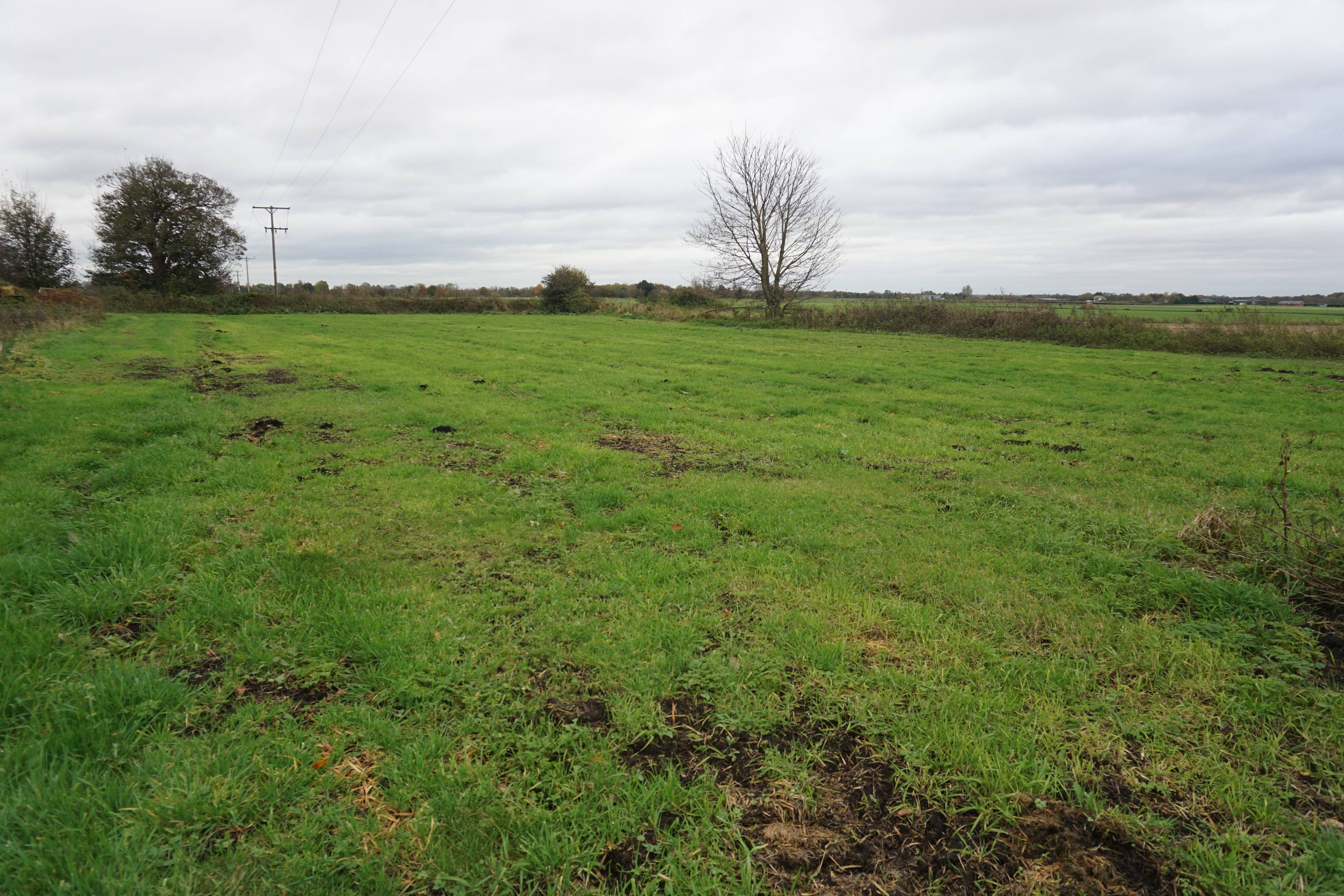 Land