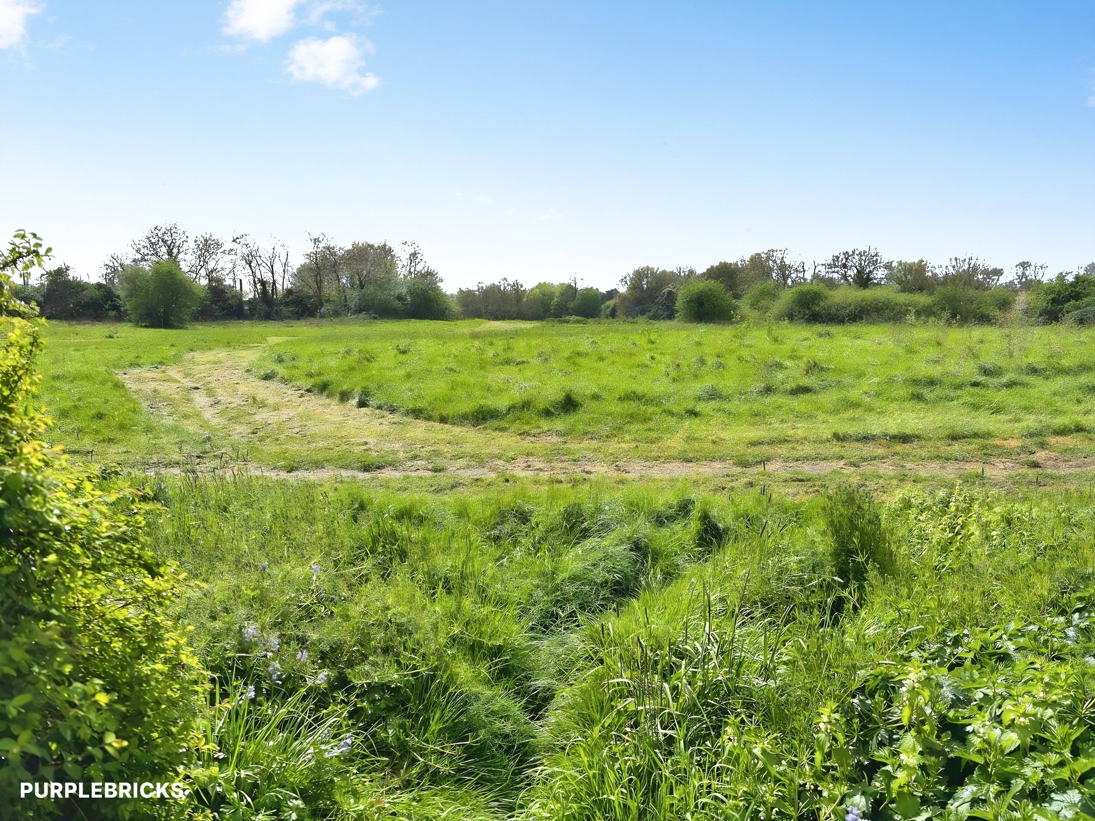 Field