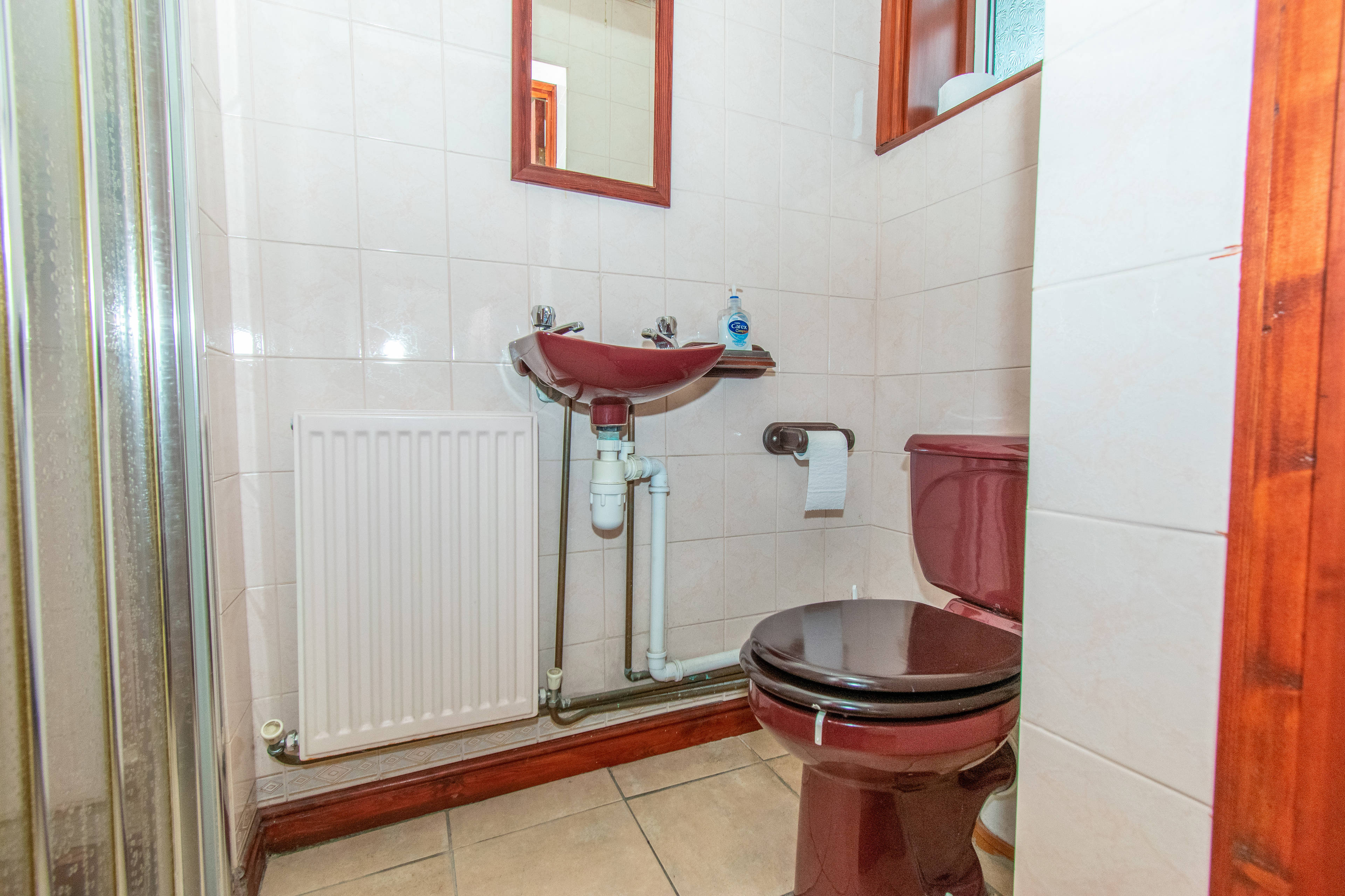 Downstairs Shower