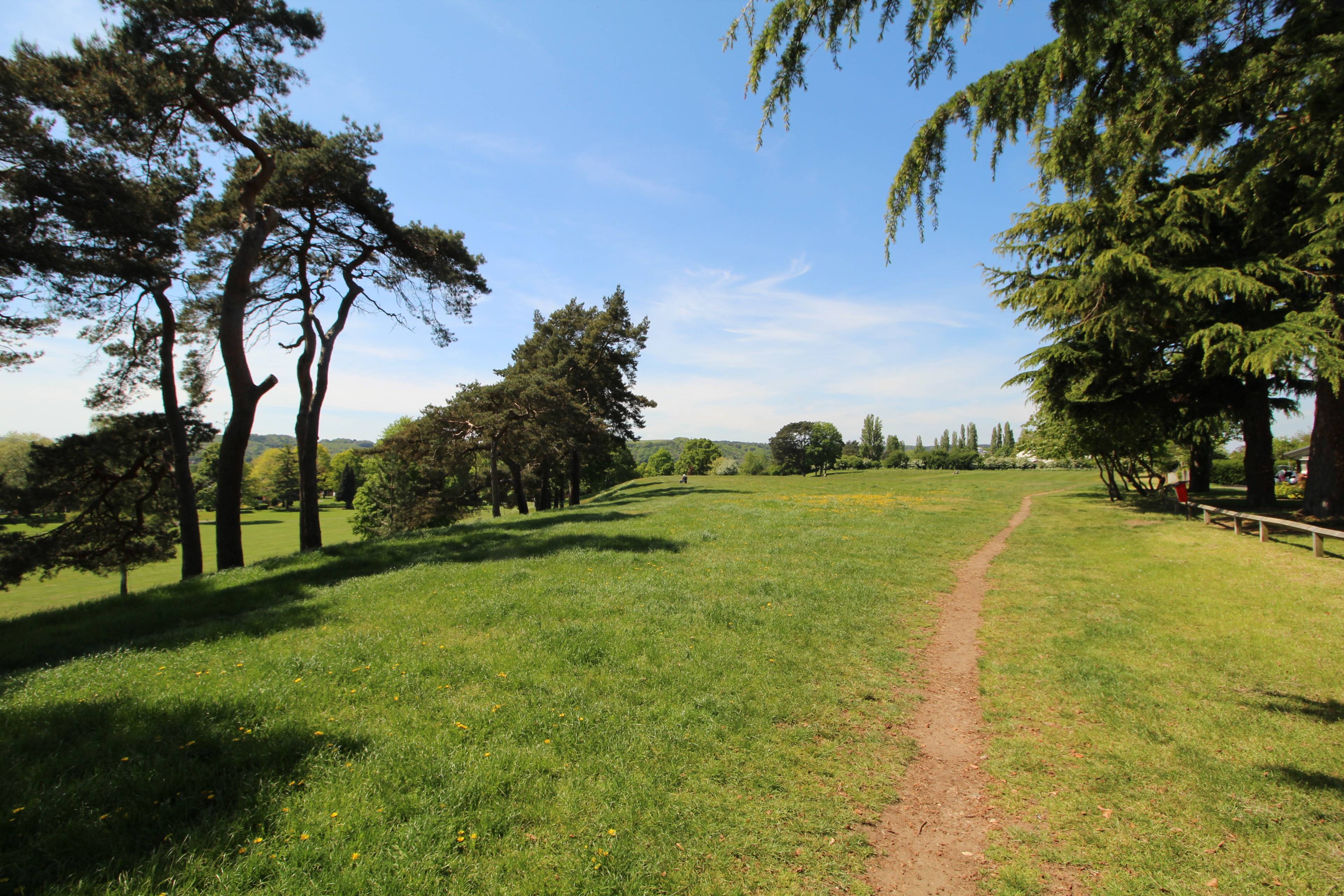 The Park