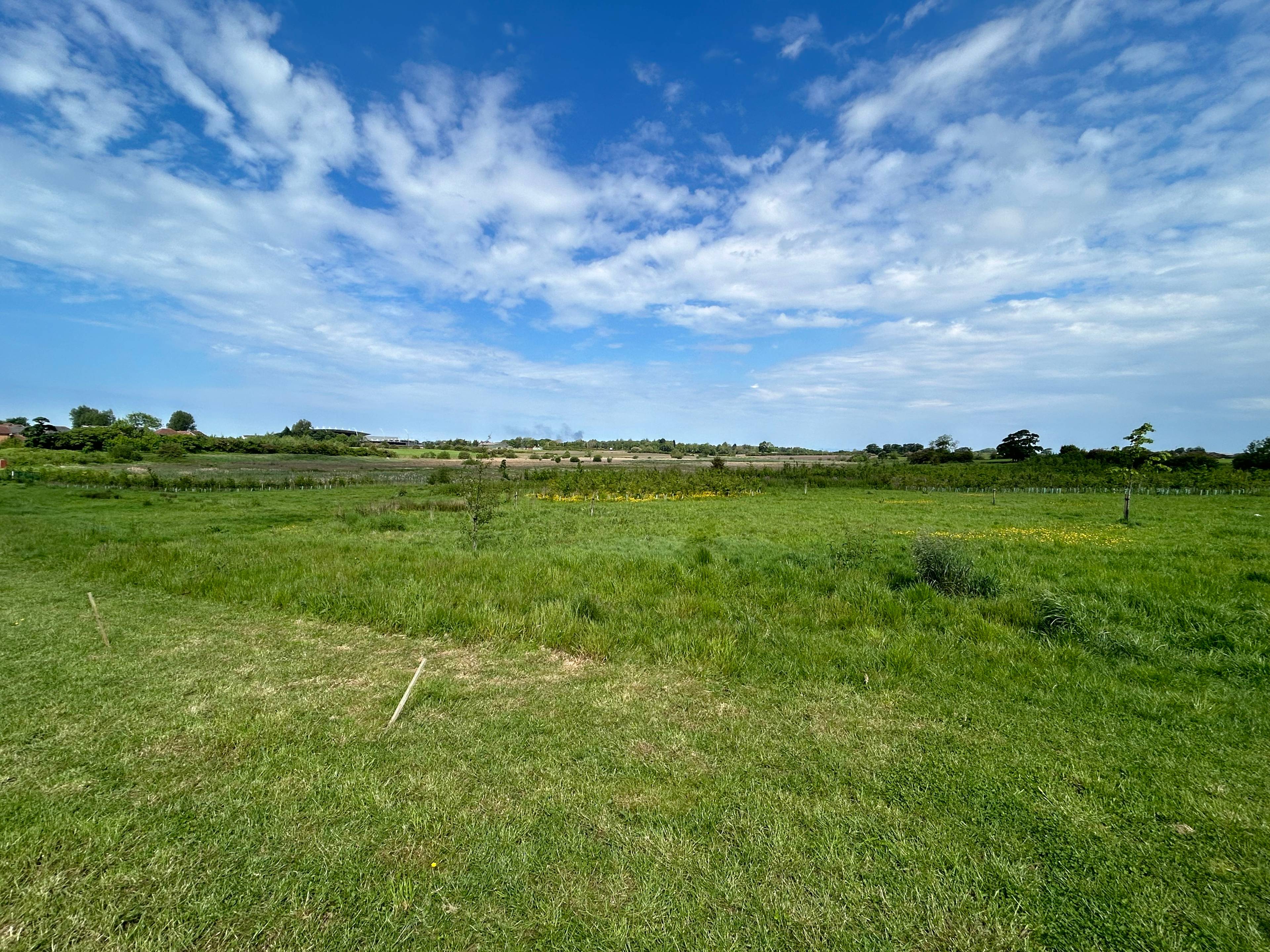 Nature Reserve