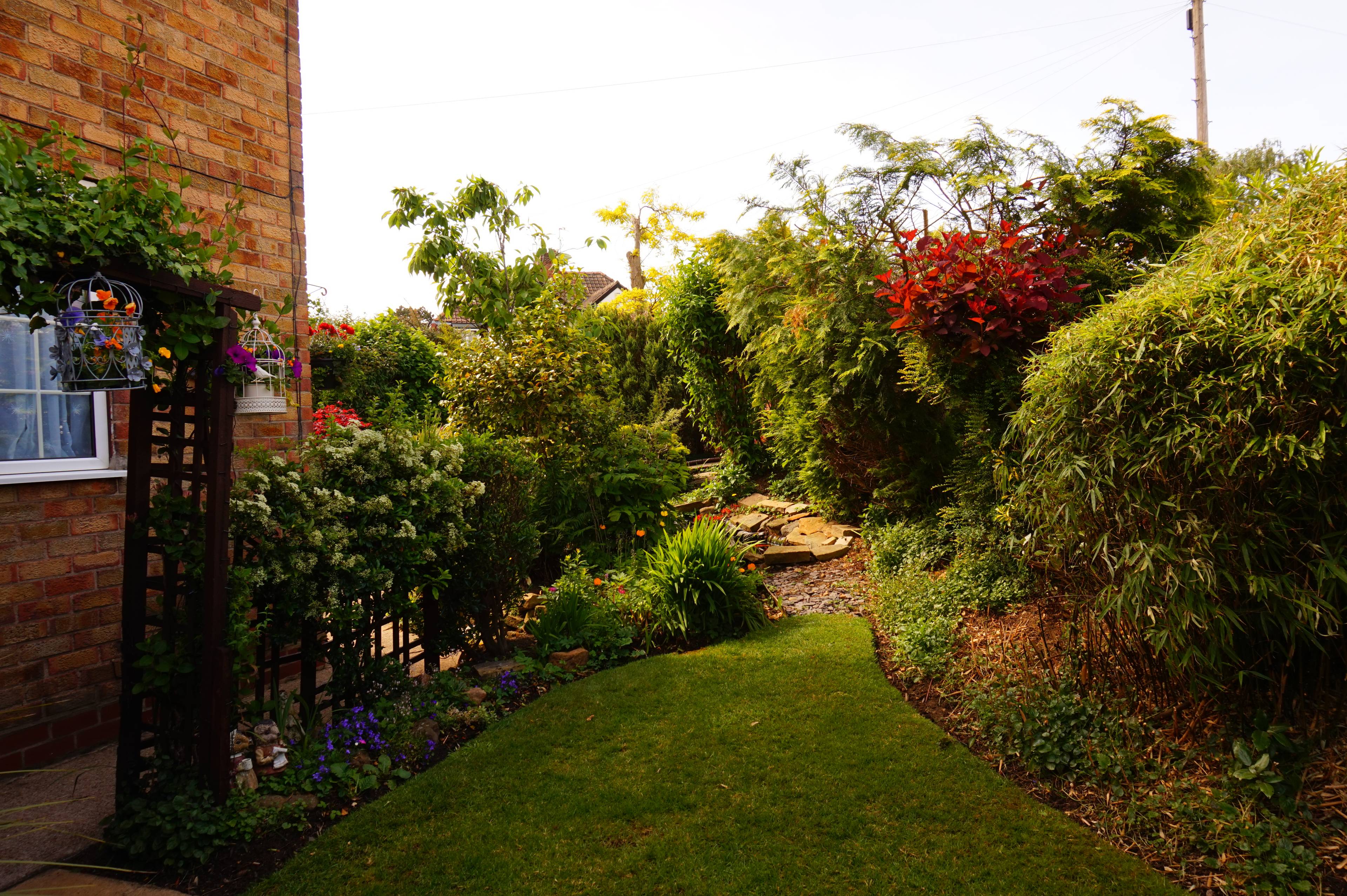 Side Garden