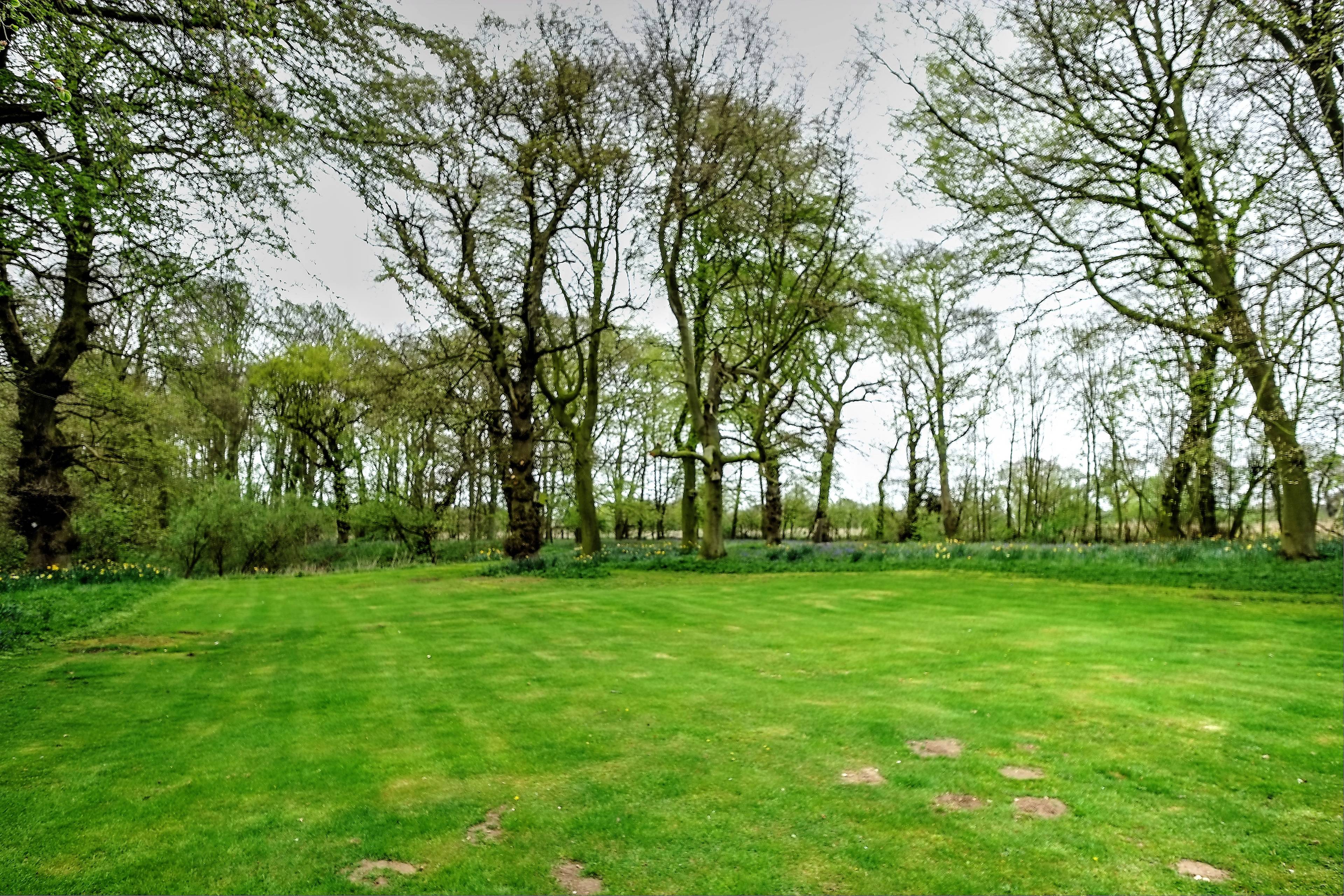 Grounds