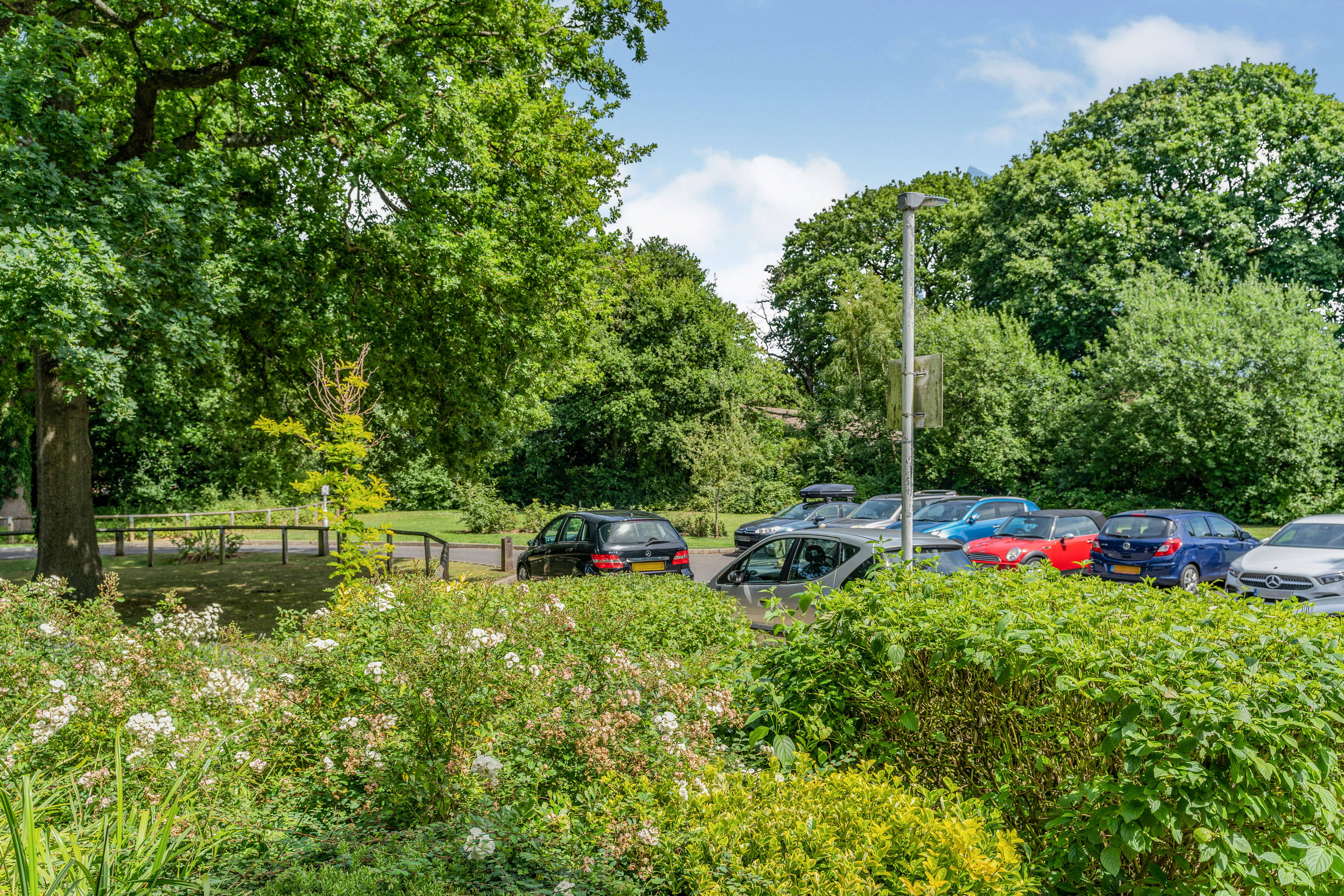 Communal Gardens