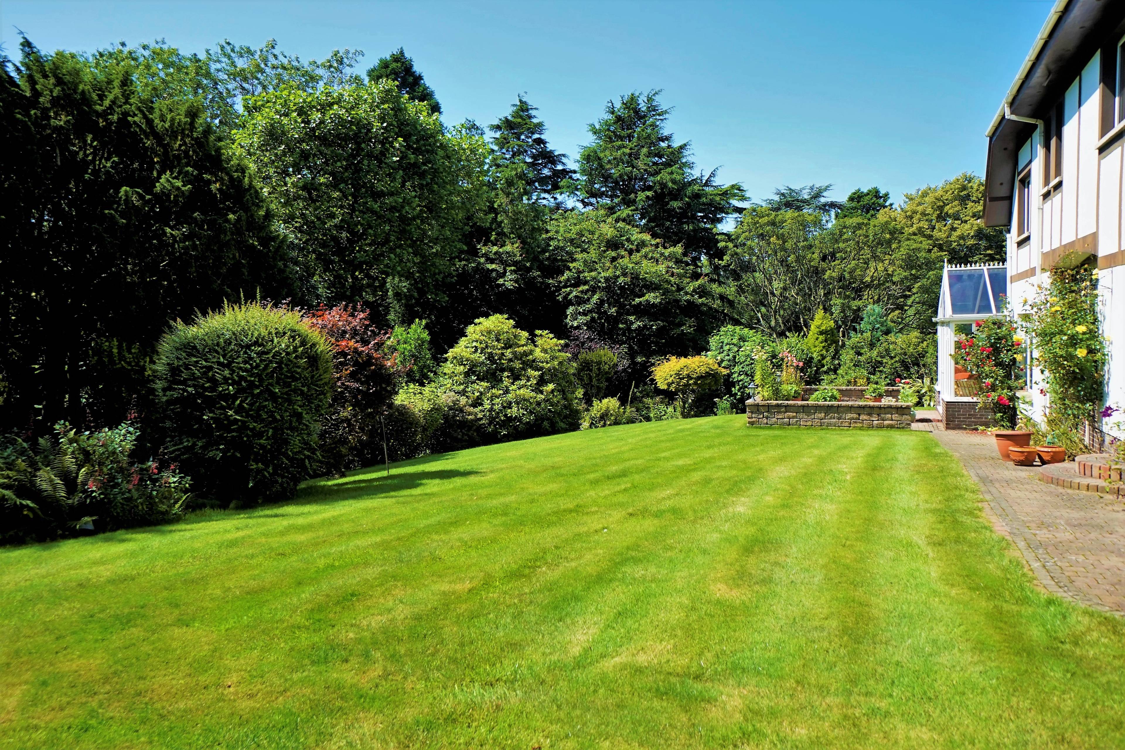 Mature Garden