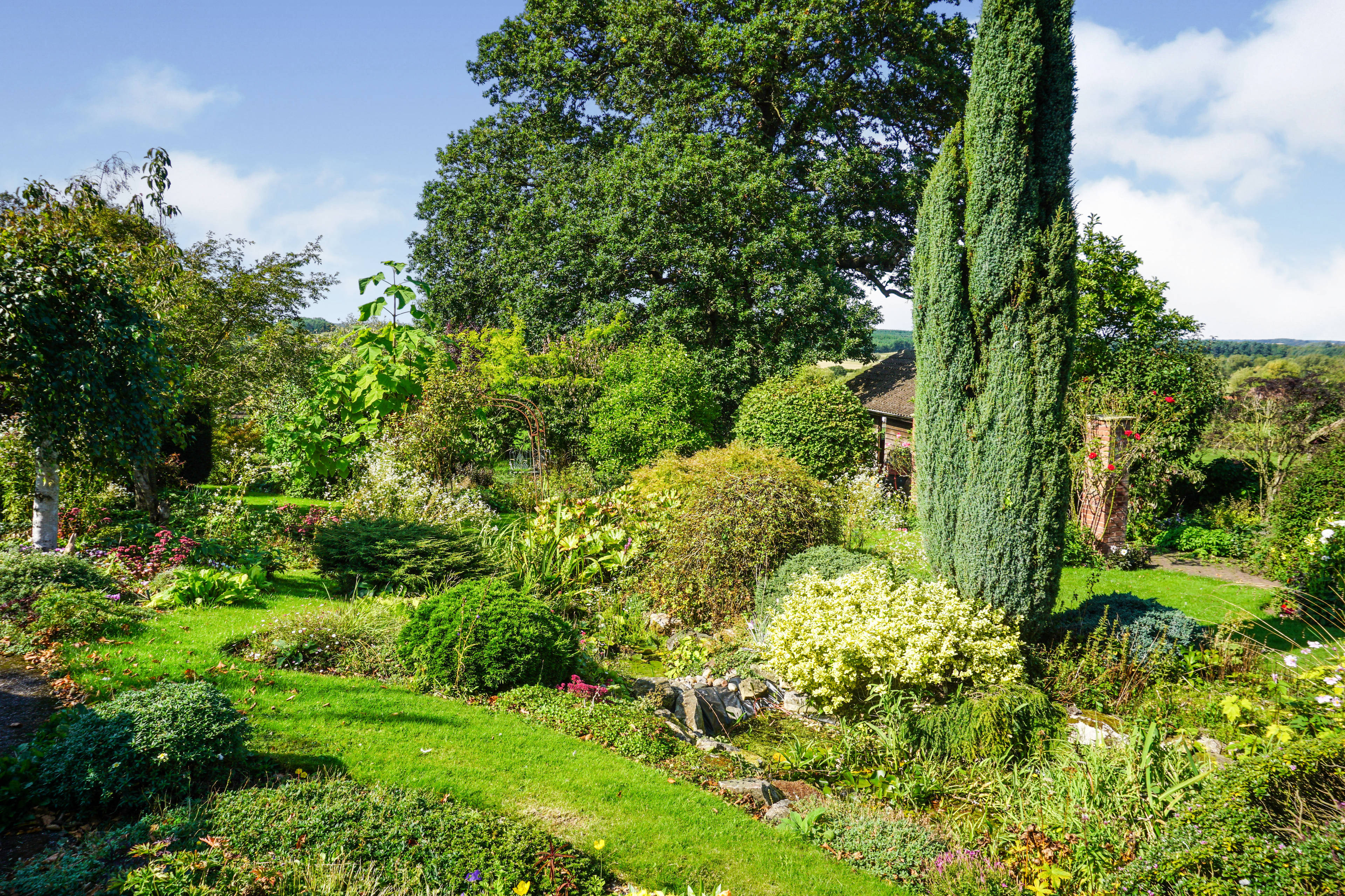 Garden