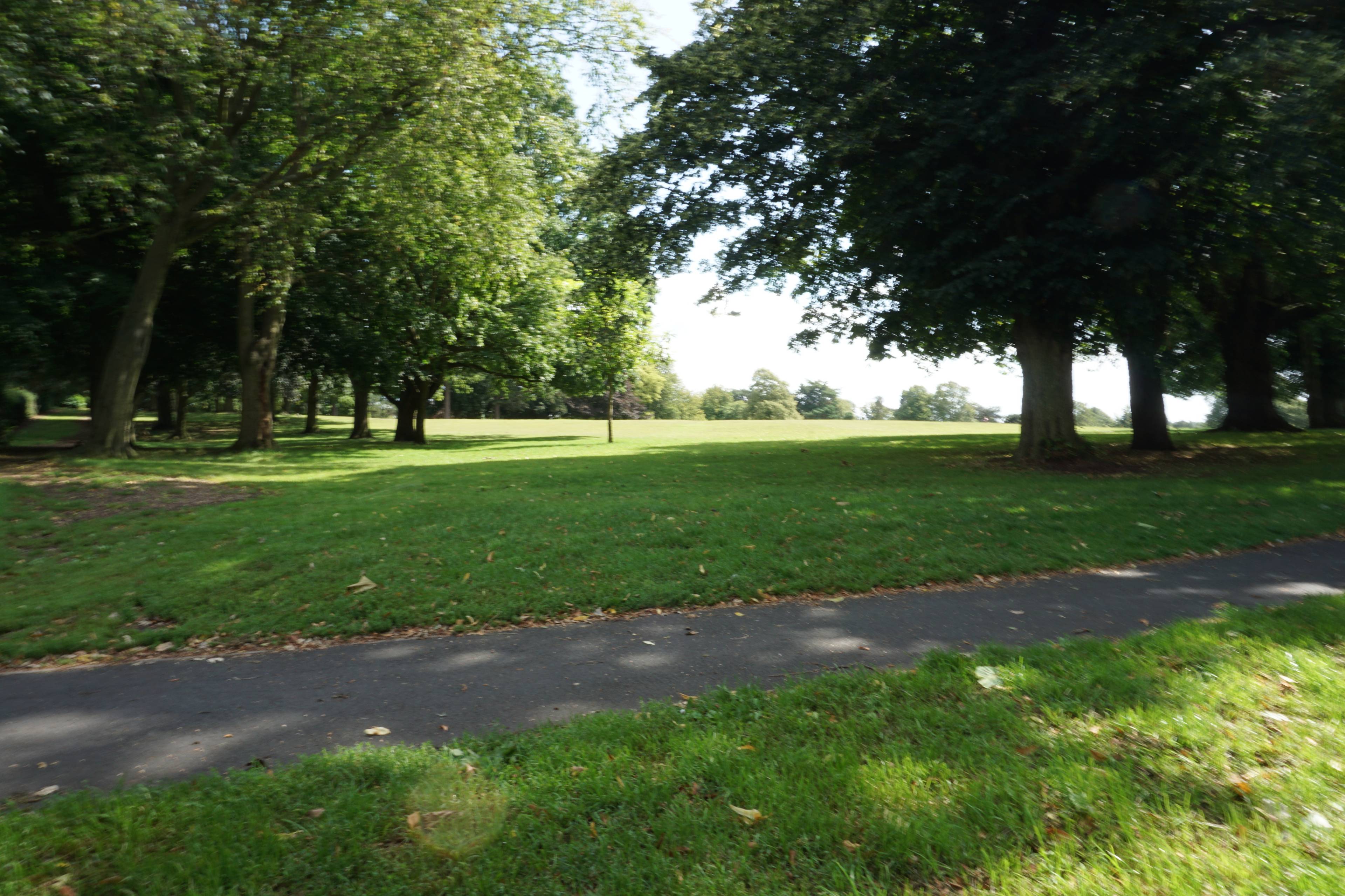 The Park