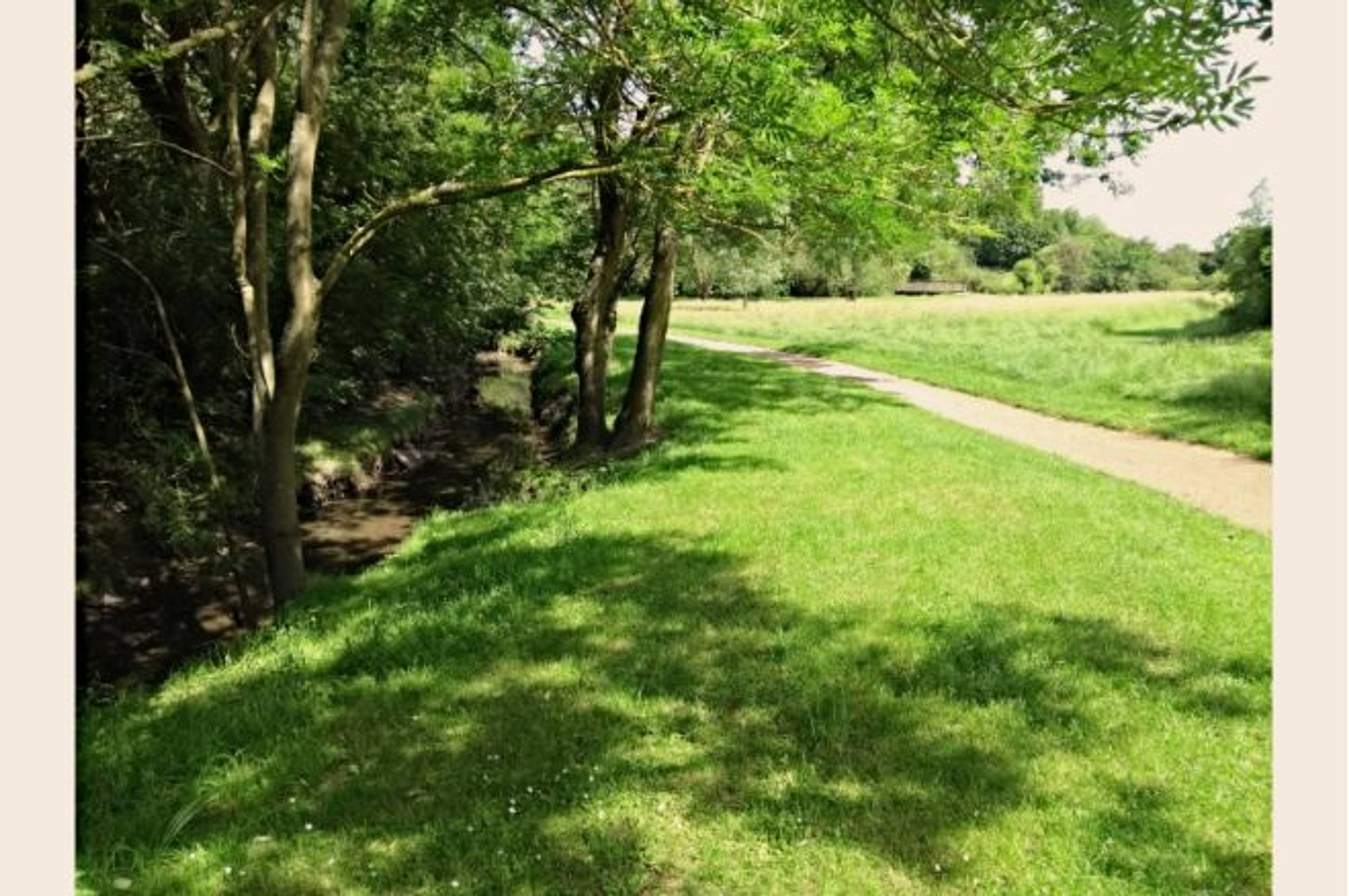 The Park