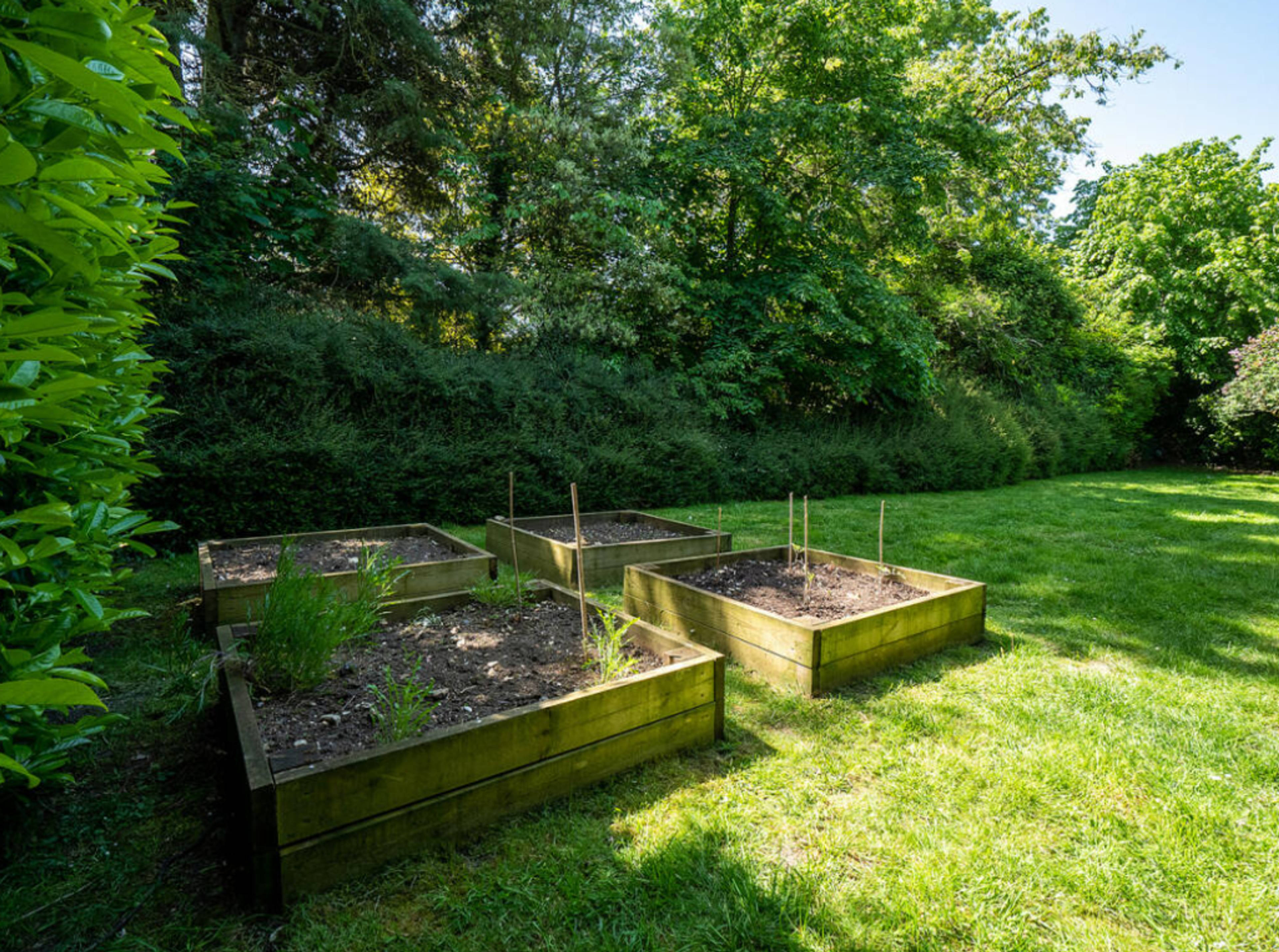 Large Garden