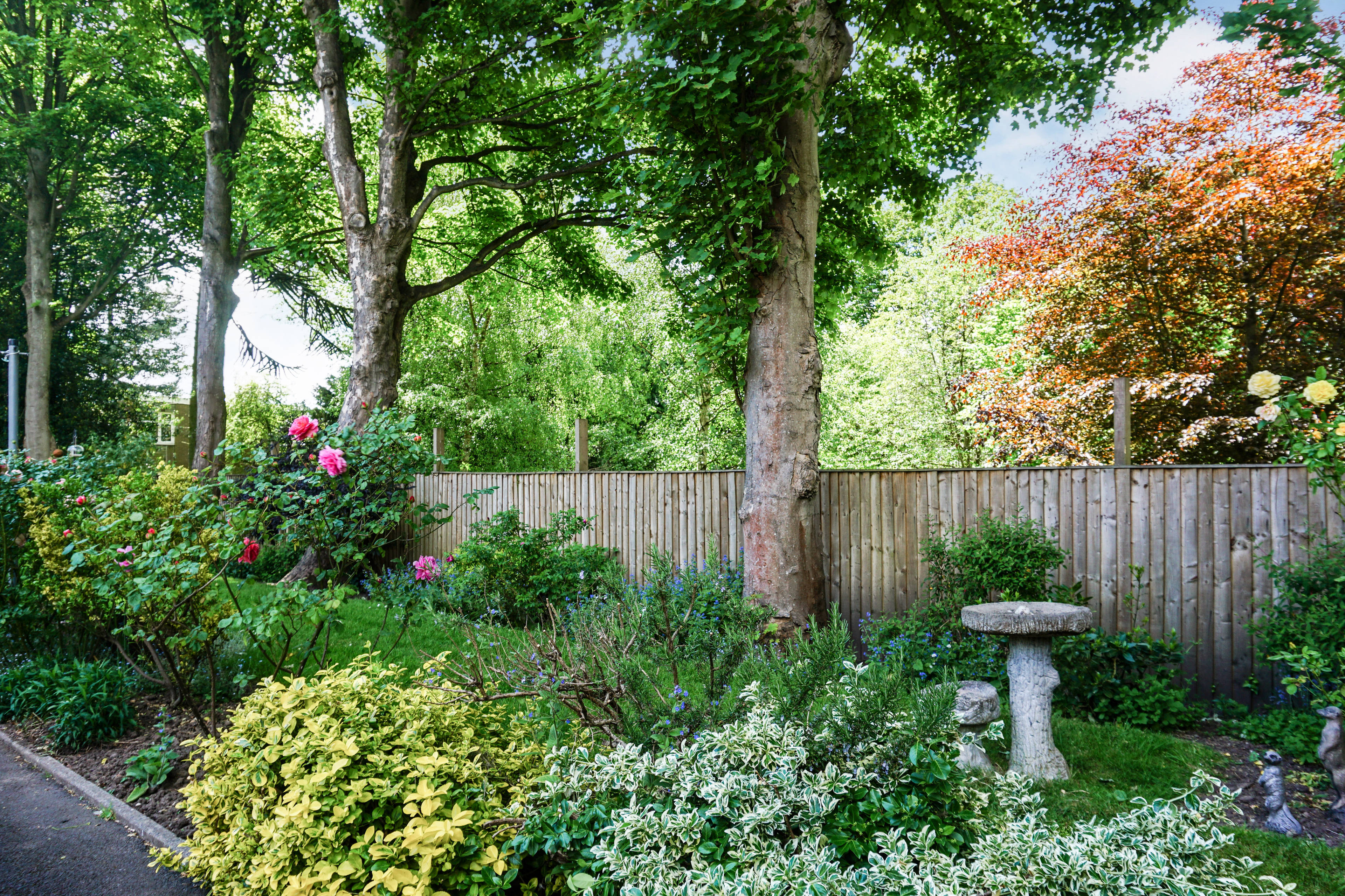 Communal Gardens