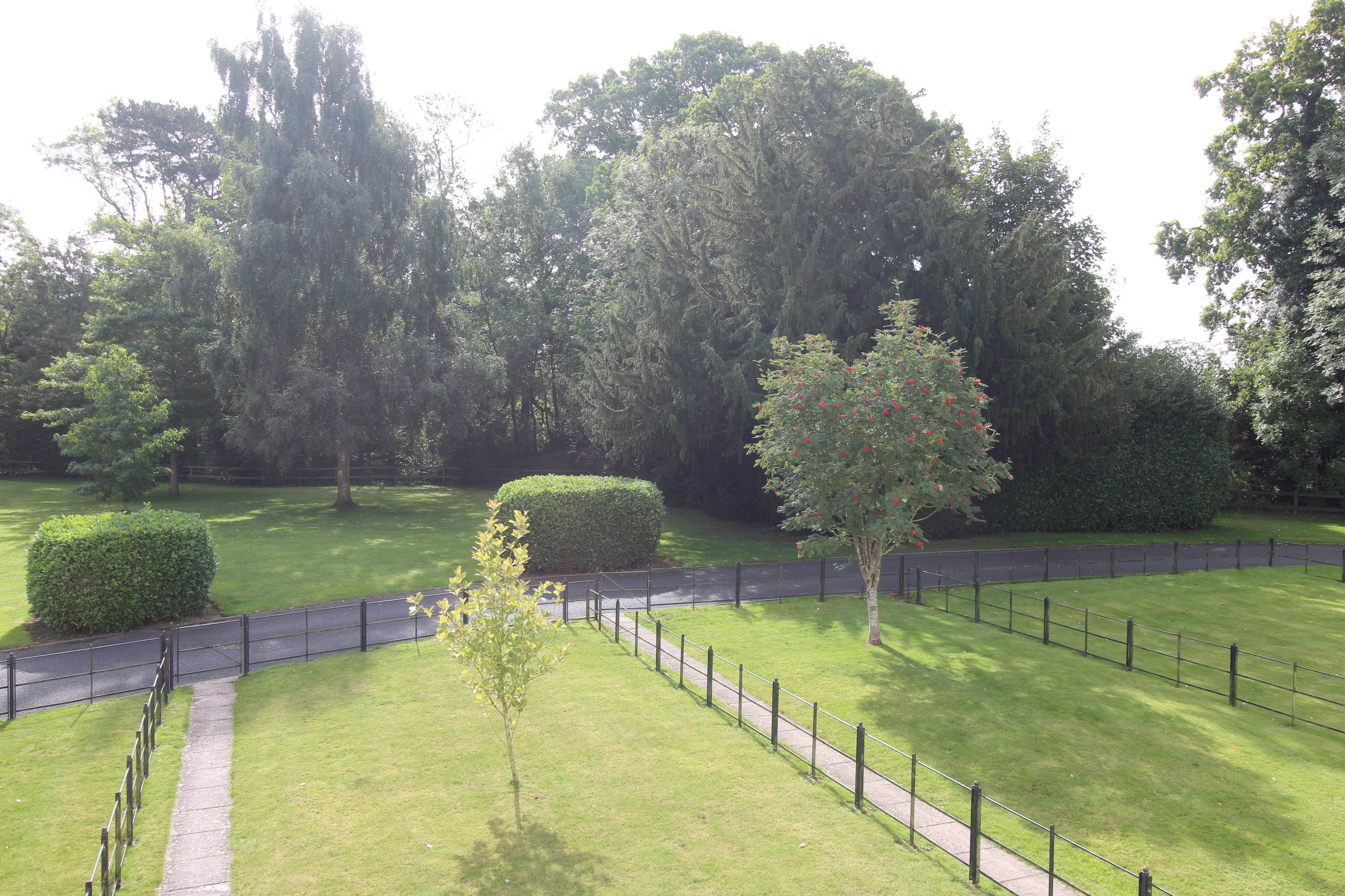 Communal Gardens