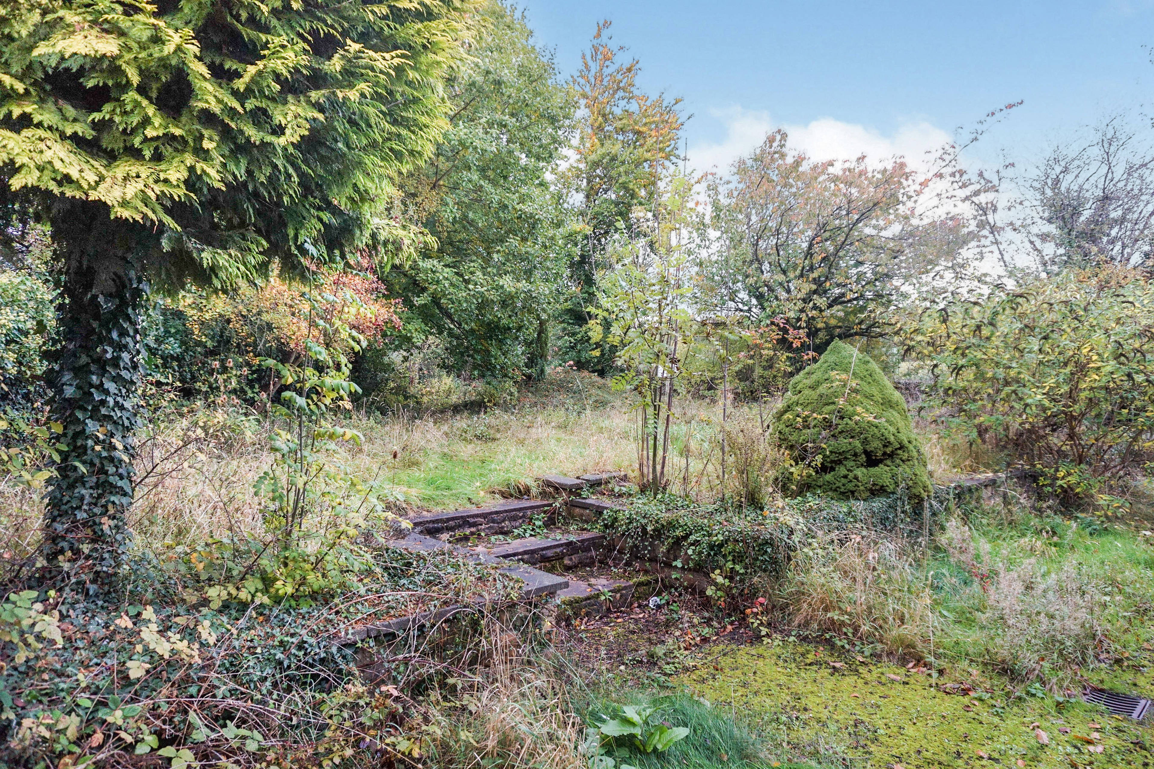 Side Garden
