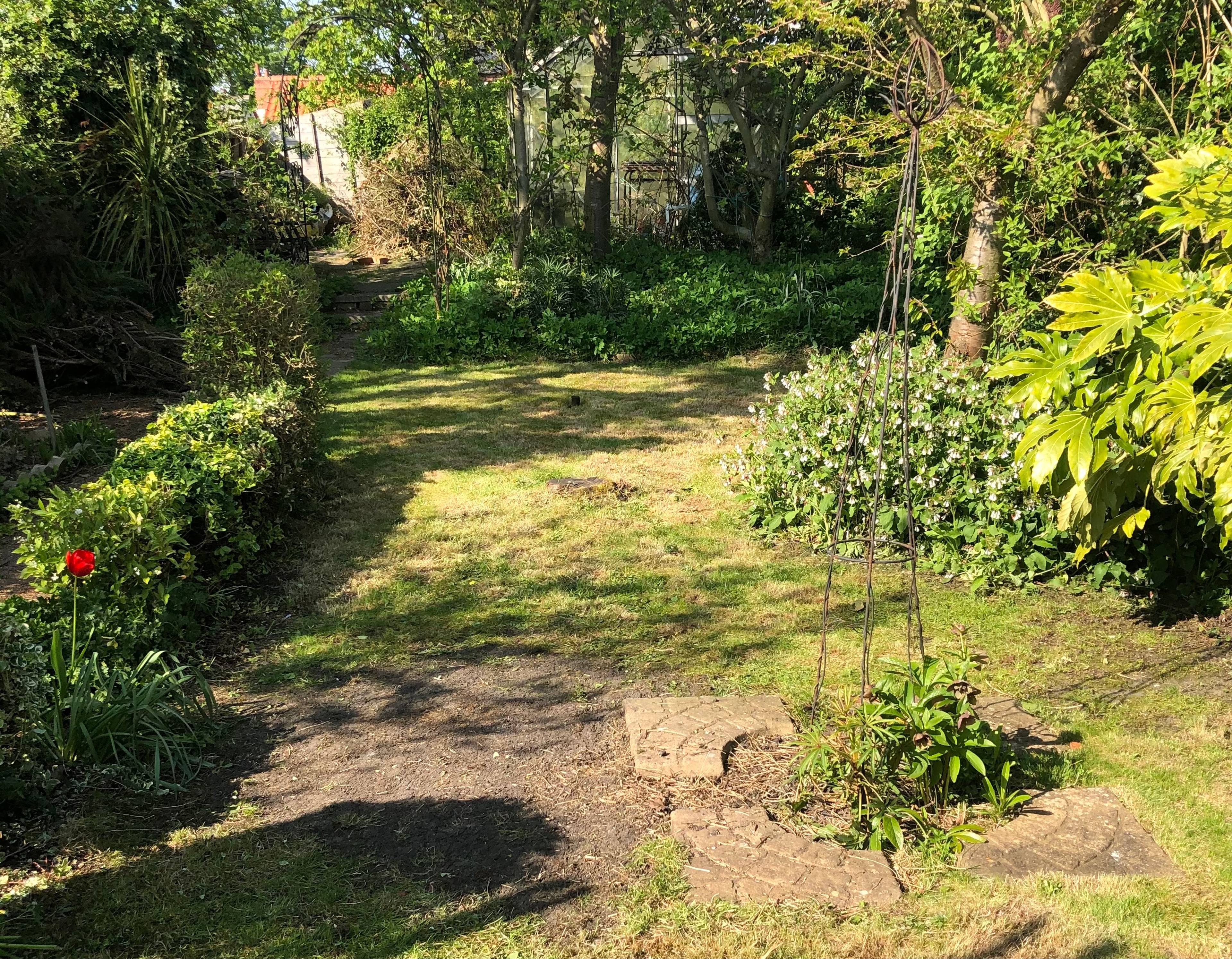 Mature Garden