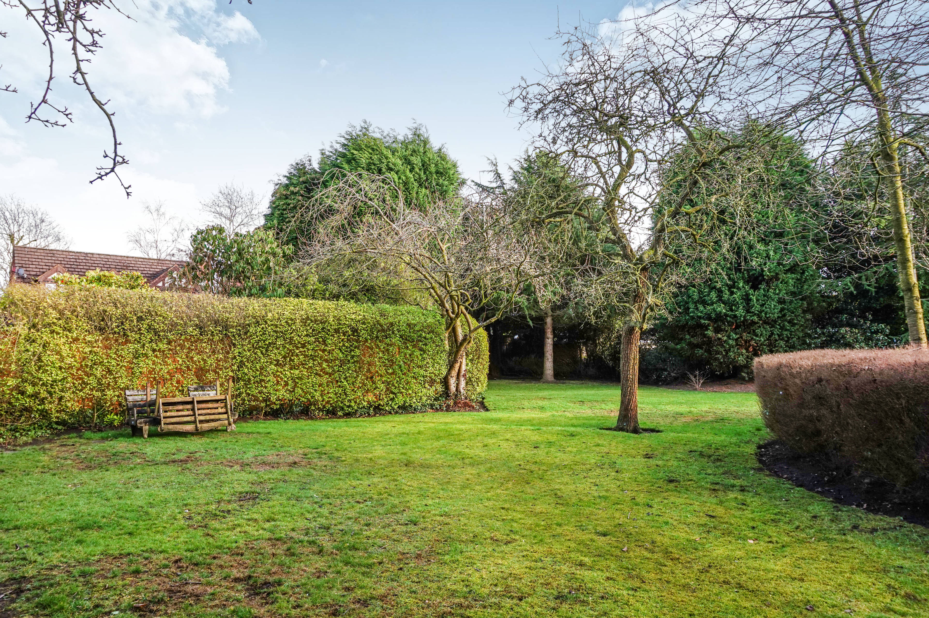 Communal Gardens