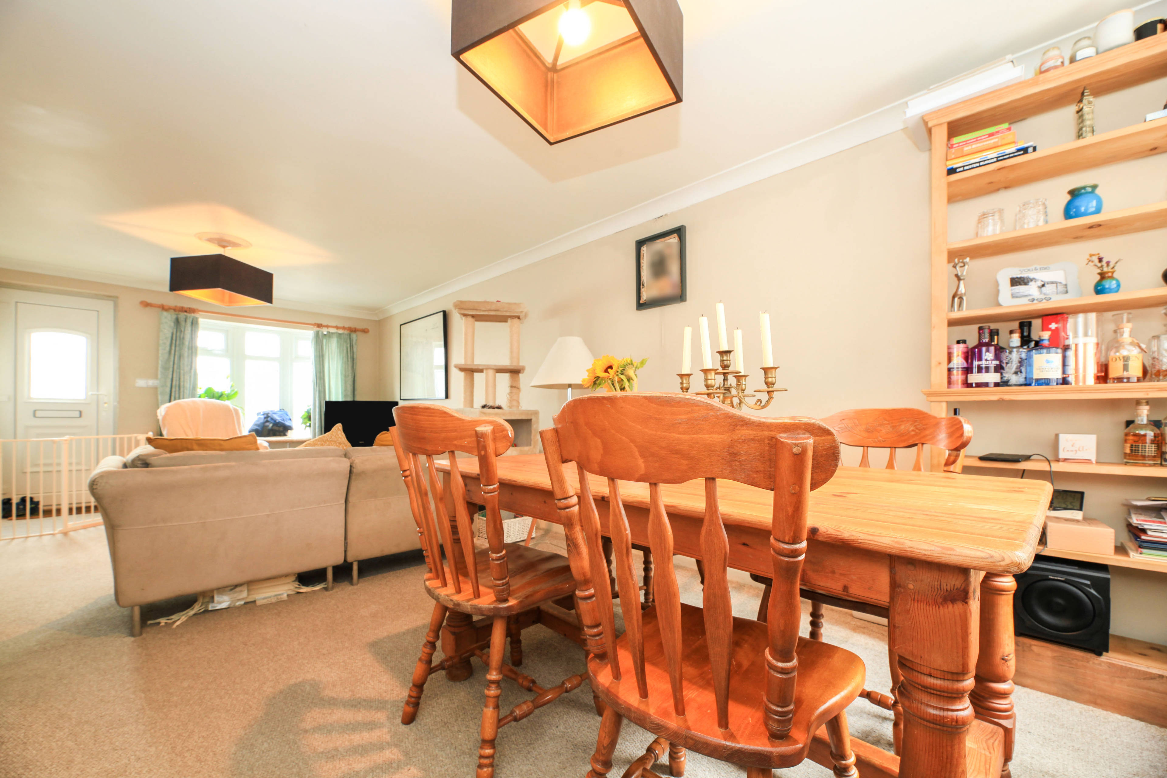 Living / Dining Room