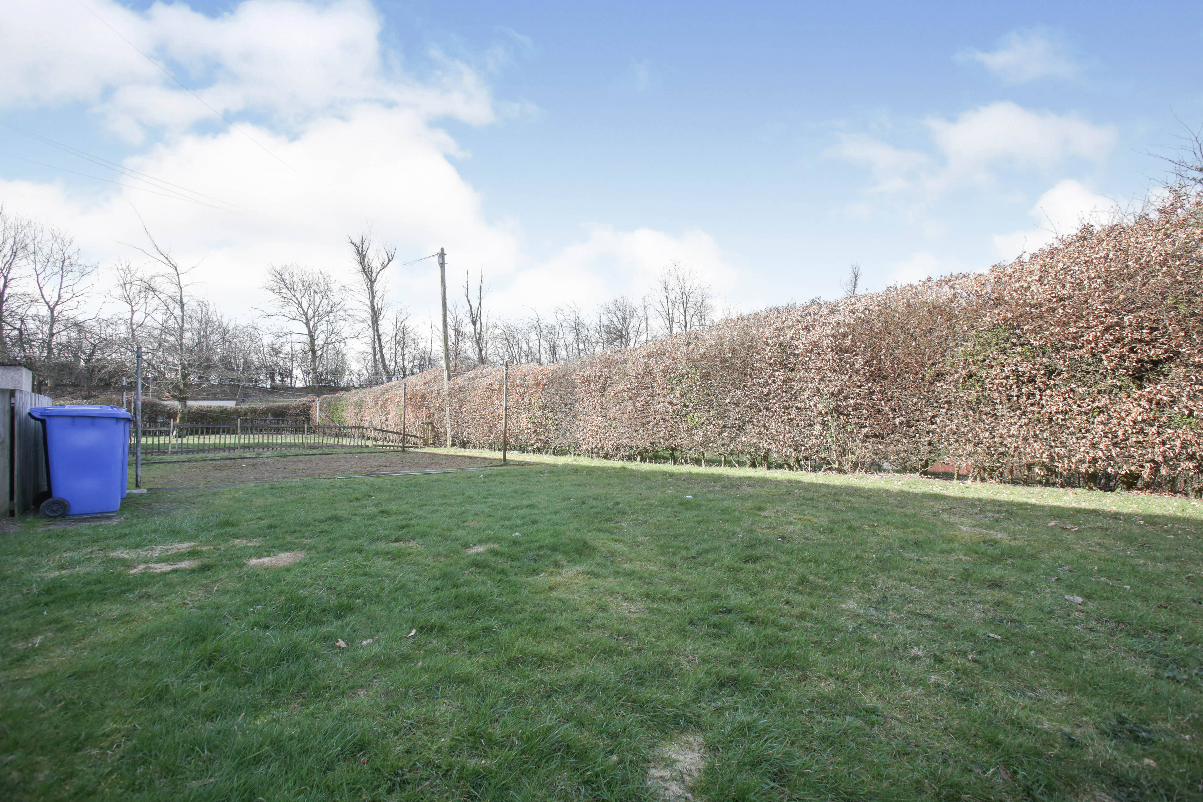 Communal Gardens