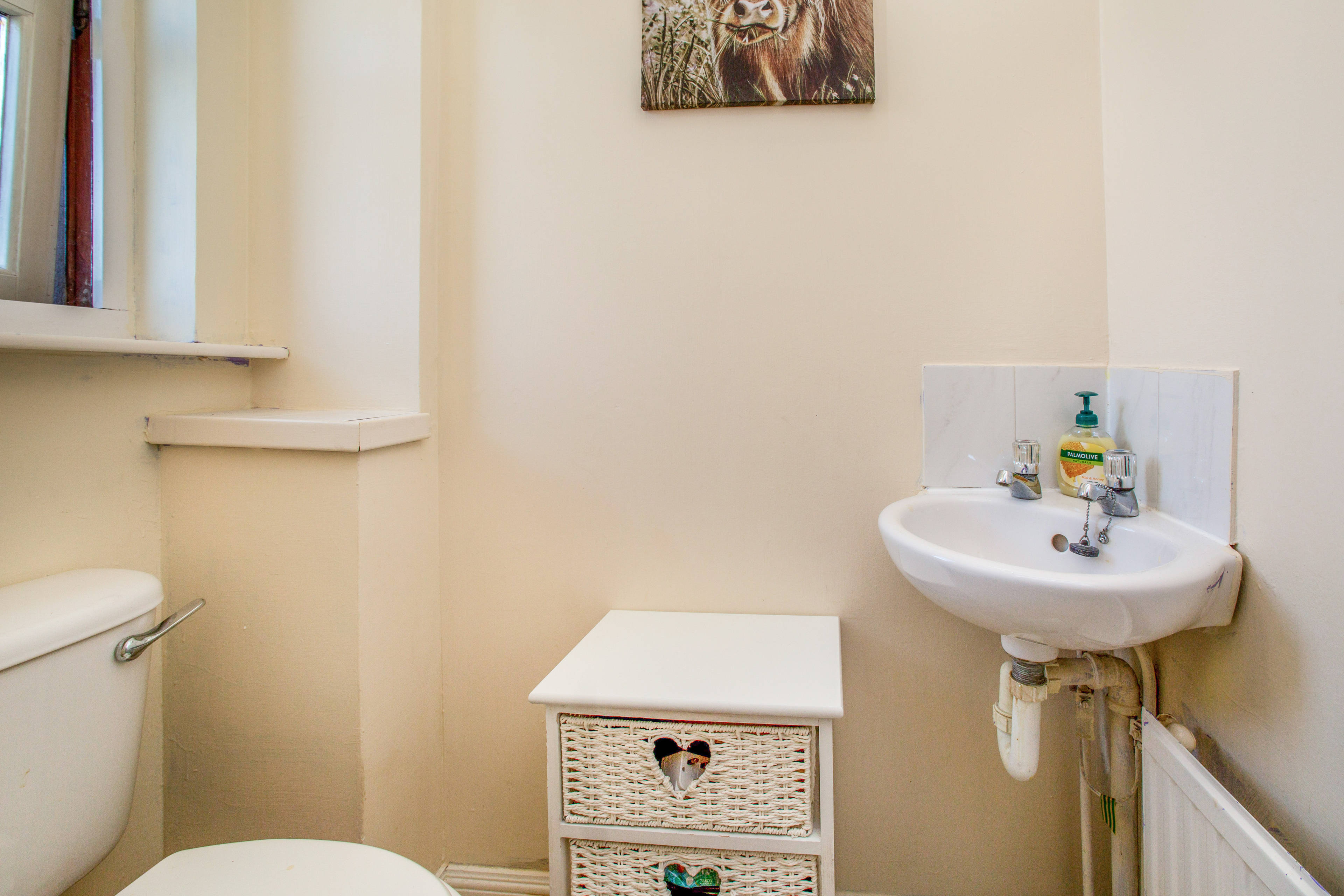 Downstairs Cloakroom
