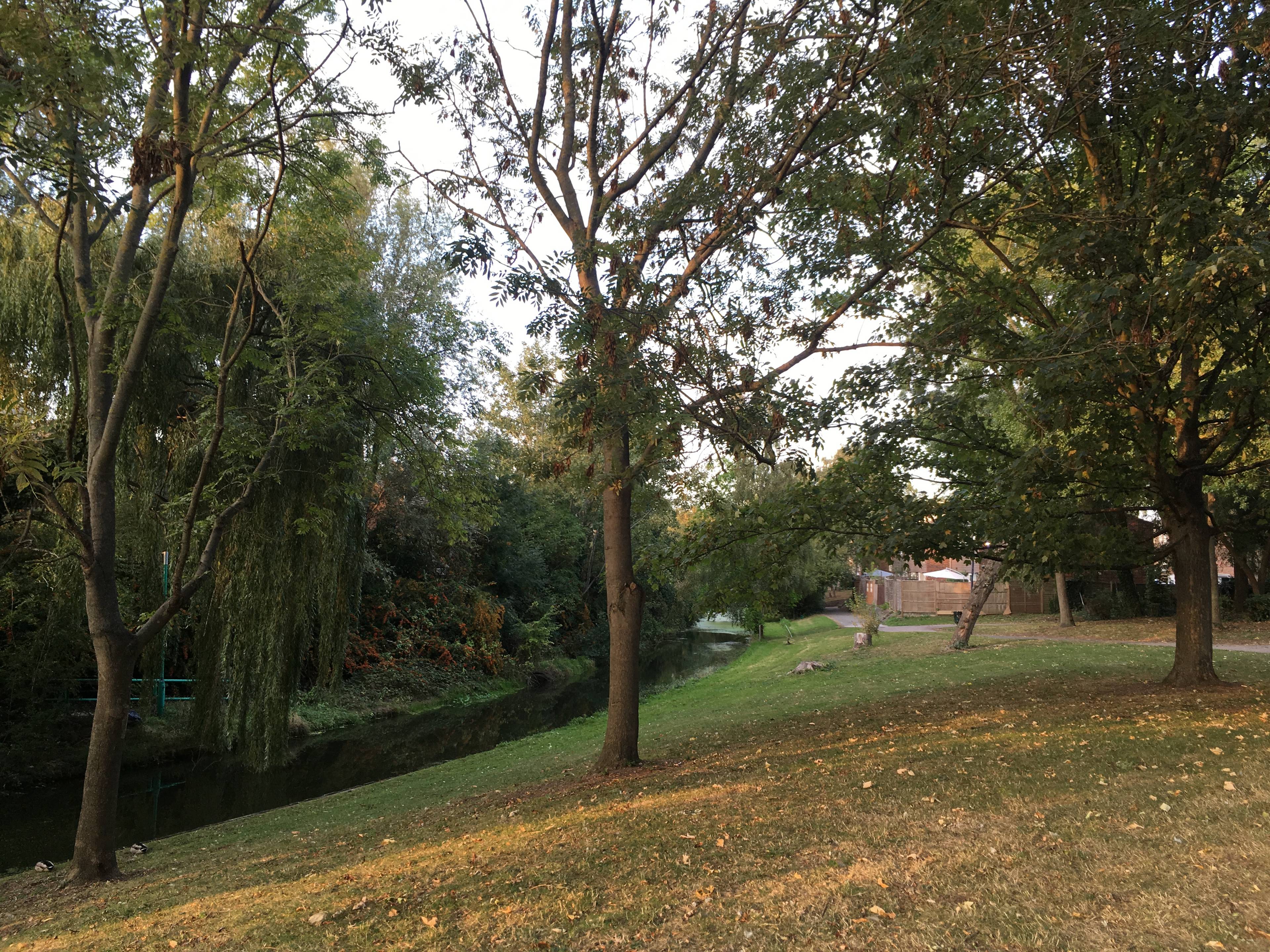 Surrounding Area