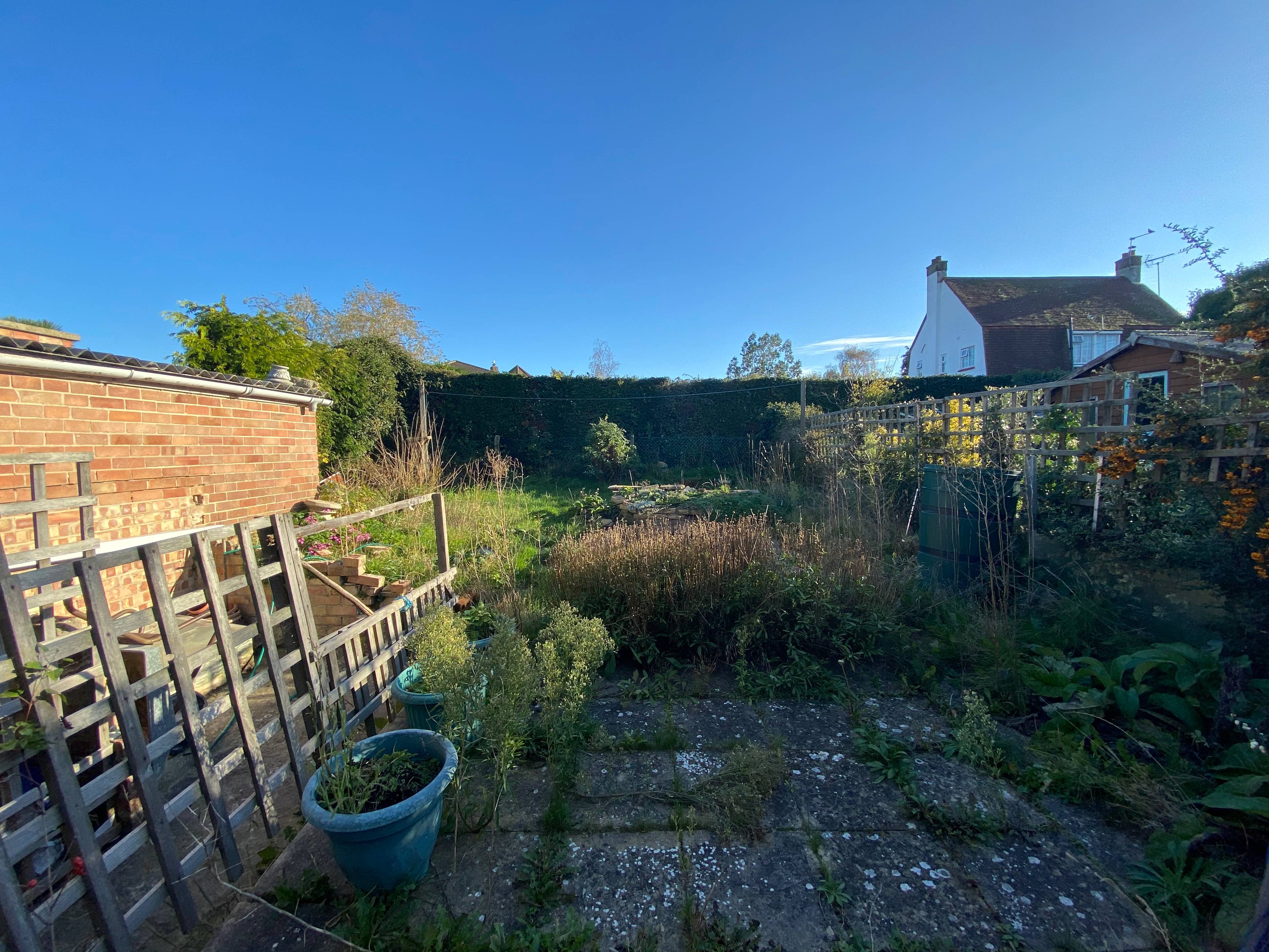 Garden