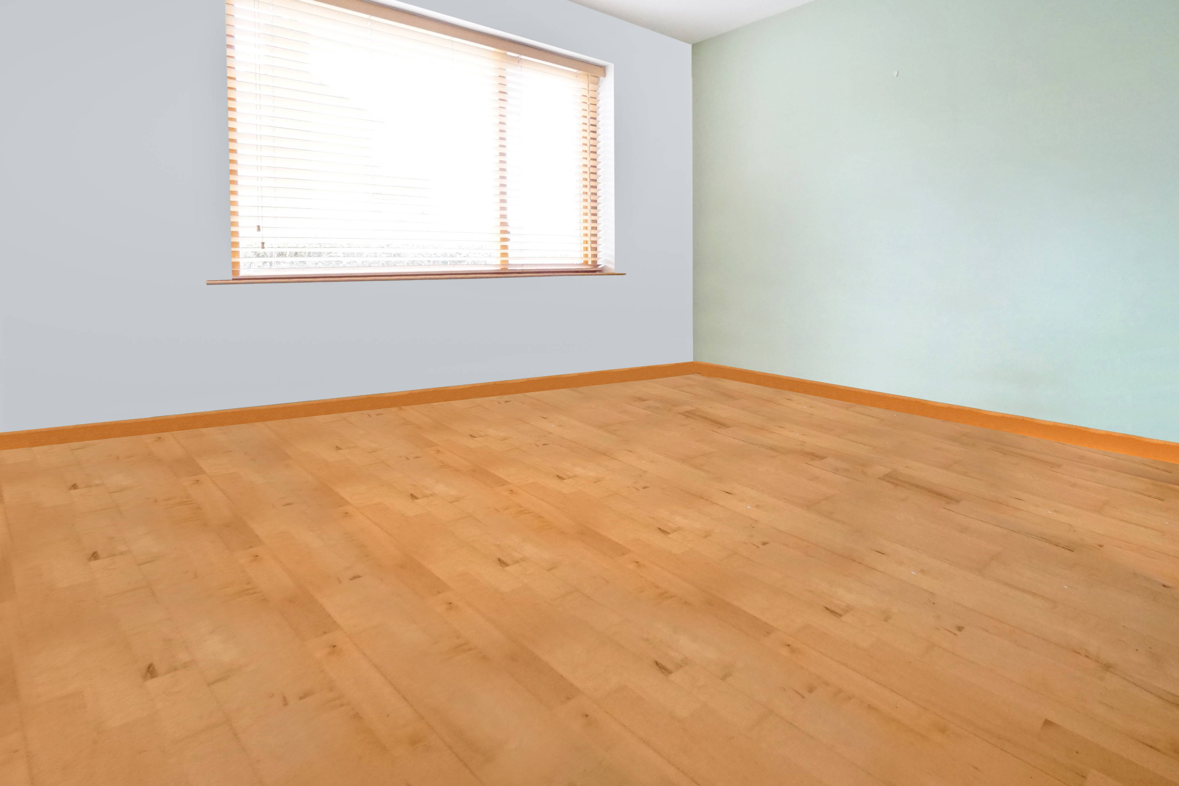 Dining / Family Room